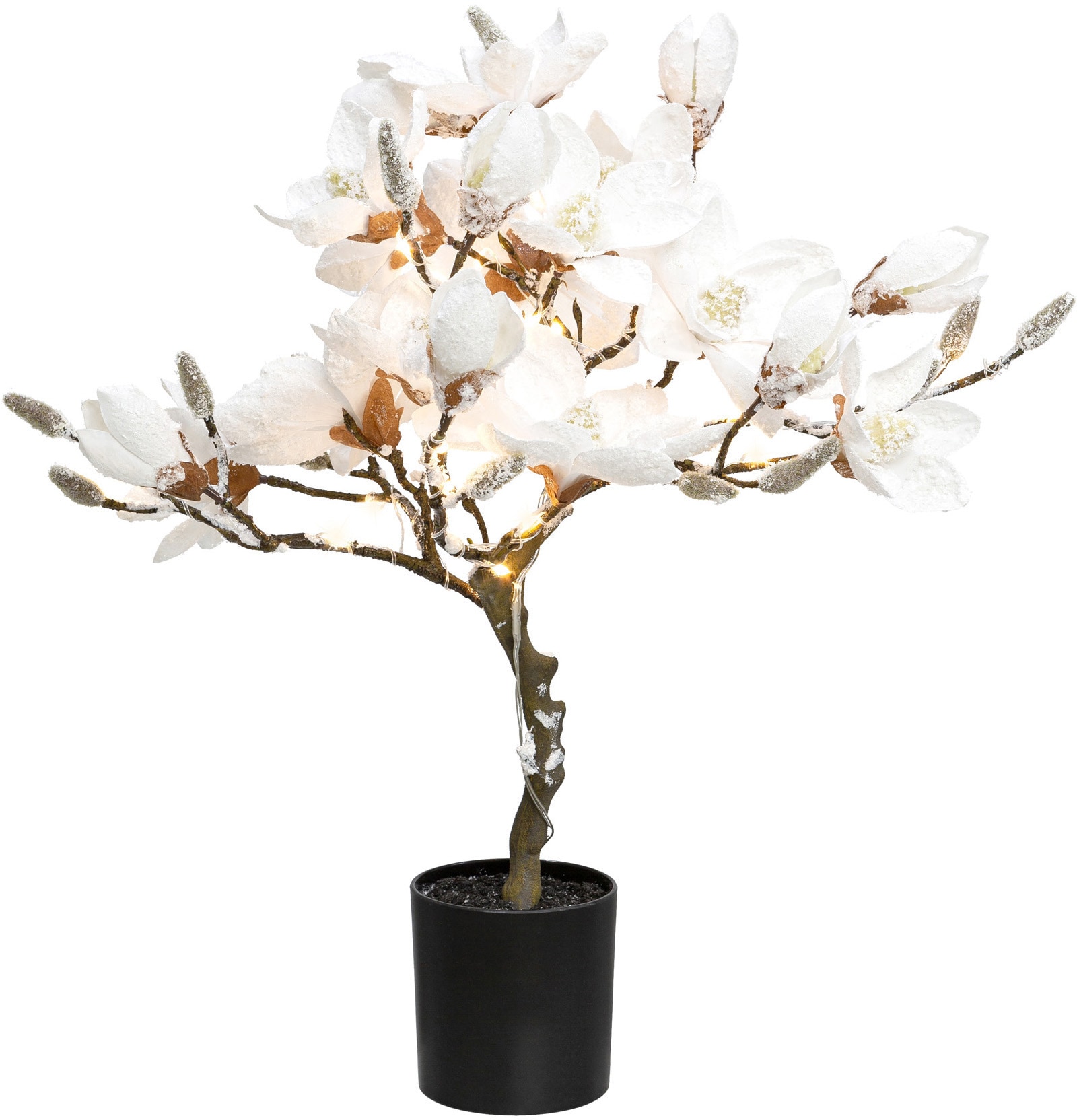 Creativ deco Kunstpflanze »Magnolie«, beschneit, mit 20 LEDs