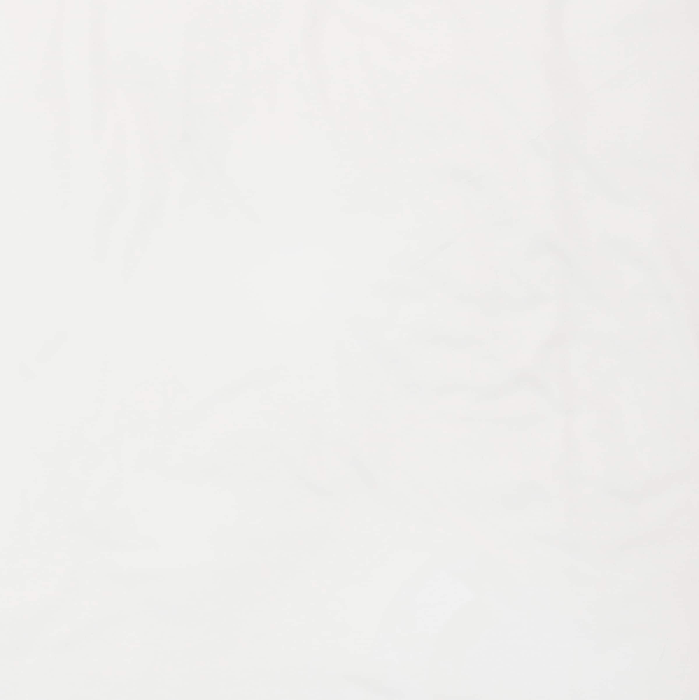 SCHÖNER WOHNEN-Kollektion Bettwäsche »Pure in Gr. 135x200, 155x220 oder 200x200 cm«, (2 tlg.), Bettwäsche aus Baumwolle in Satin-Qualität, unifarbene Bettwäsche