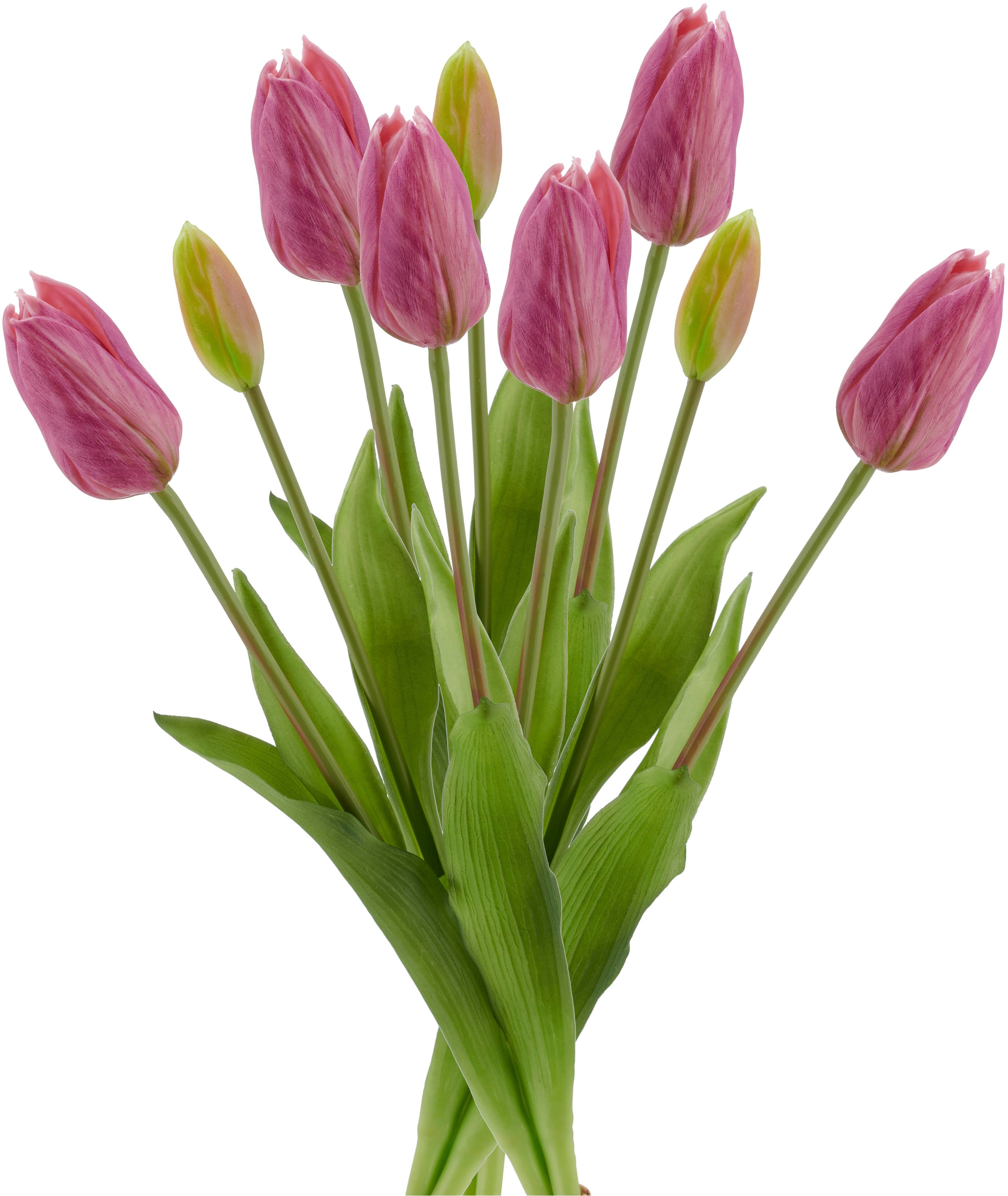 Creativ green Kunsttulpe »Tulpenbund« in schöner Farbe