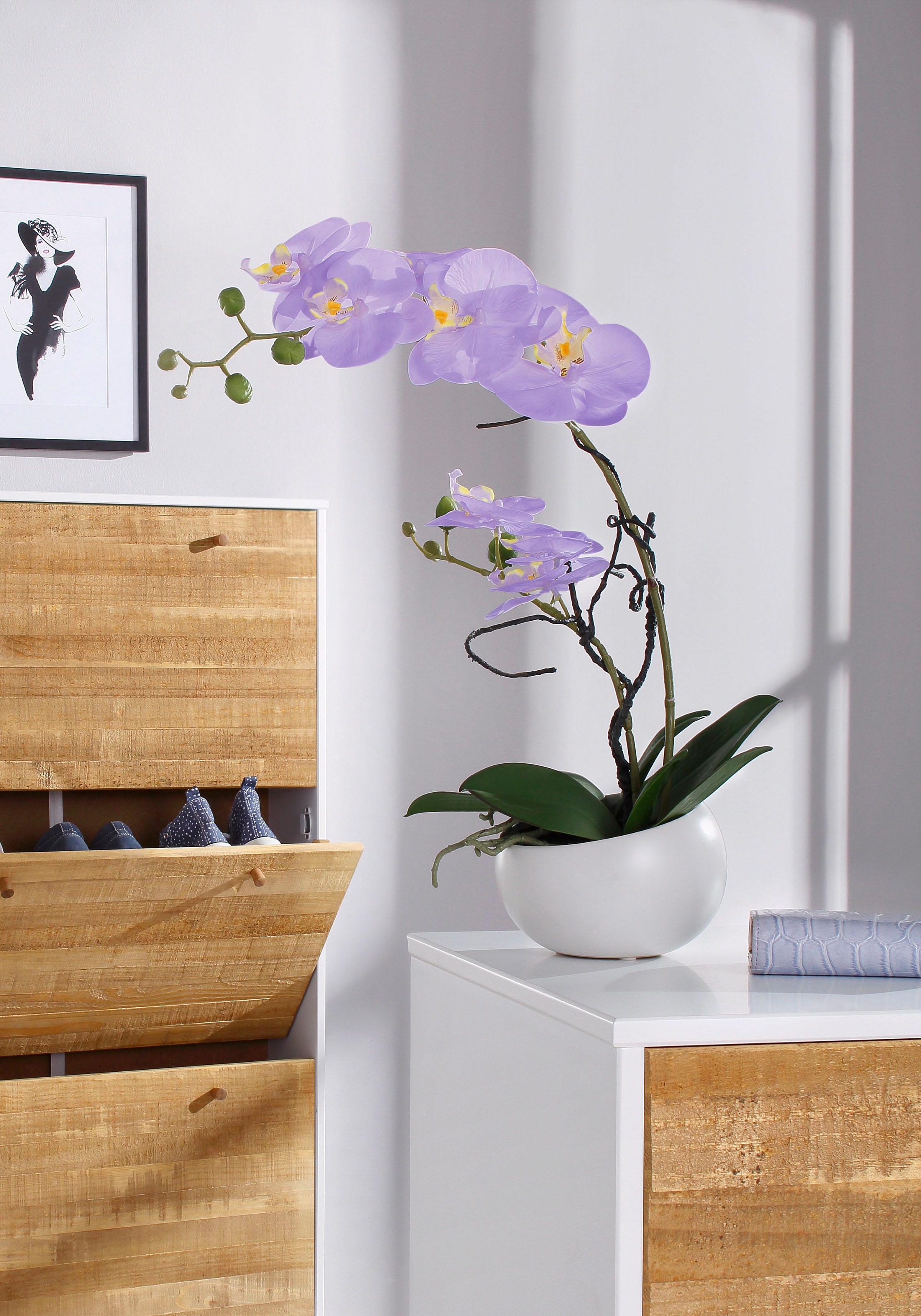 Creativ green Kunstpflanze »Orchidee«