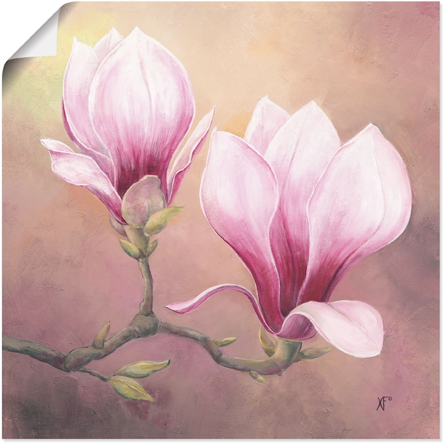 Artland Wandbild »Späte Magnolie«, Blumenbilder, (1 St.), als Alubild,  Leinwandbild, Wandaufkleber oder Poster in versch. Größen bequem bestellen