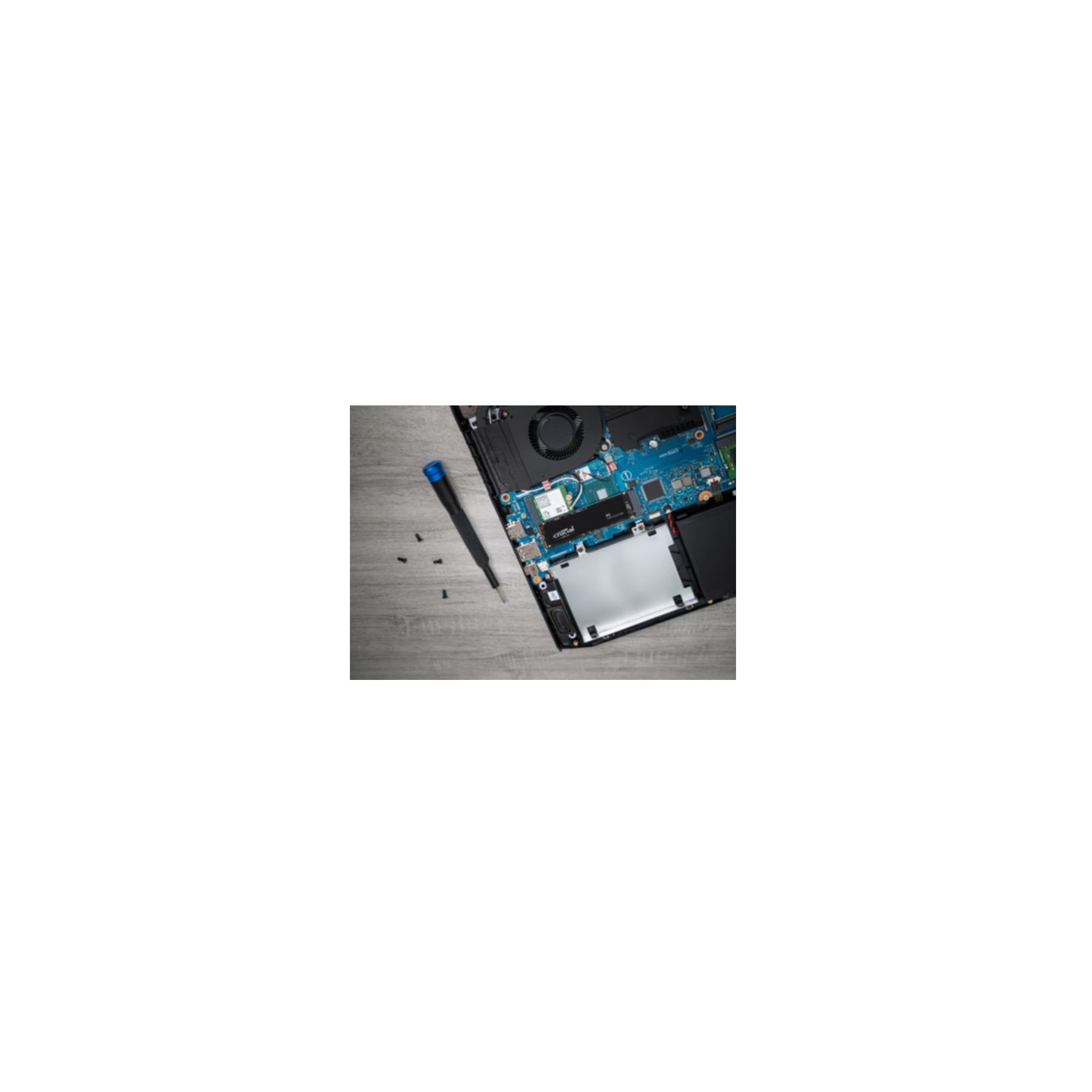 Crucial interne SSD »P3«