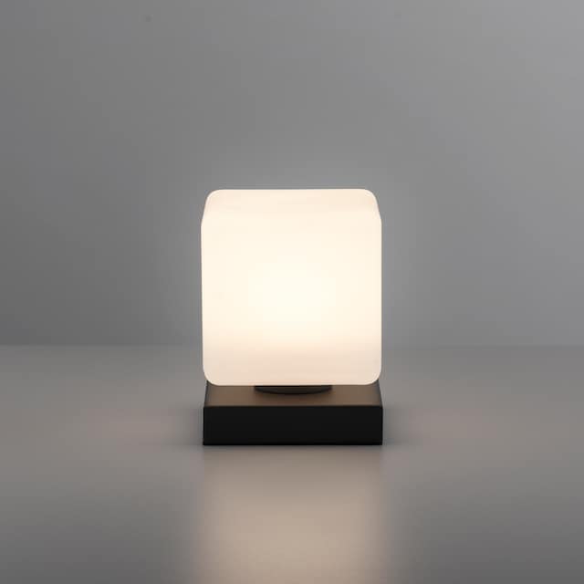 Paul Neuhaus Tischleuchte »DADOA«, 1 flammig-flammig, LED, dimmbar über  Touchdimmer online kaufen | mit 3 Jahren XXL Garantie