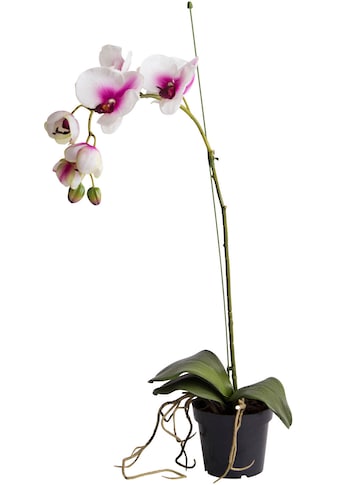 Kunstorchidee »Orchidee«