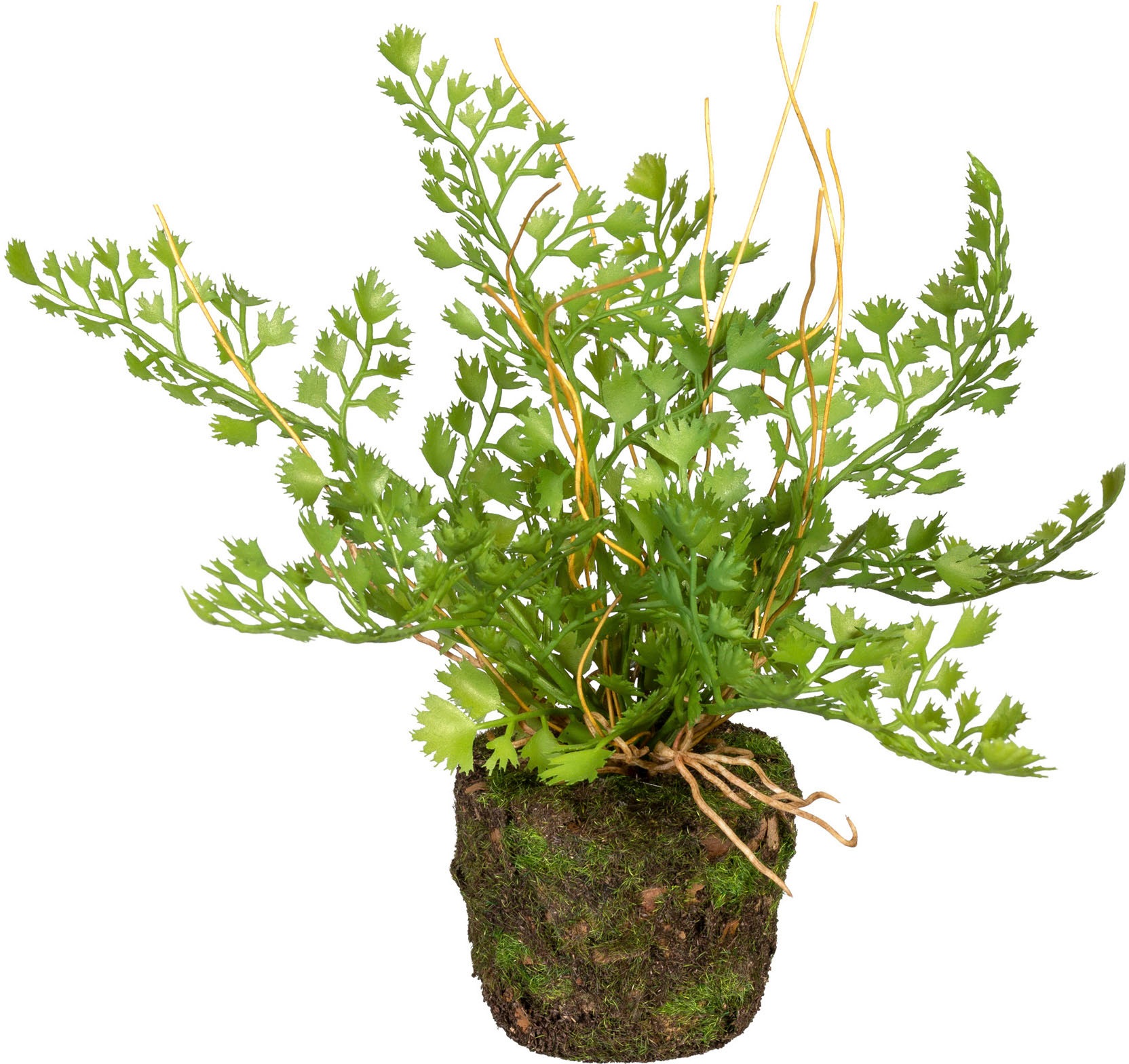 Creativ green Künstliche Zimmerpflanze »Set aus Farnpflanzen auf Wurzelballen«, 3er Set