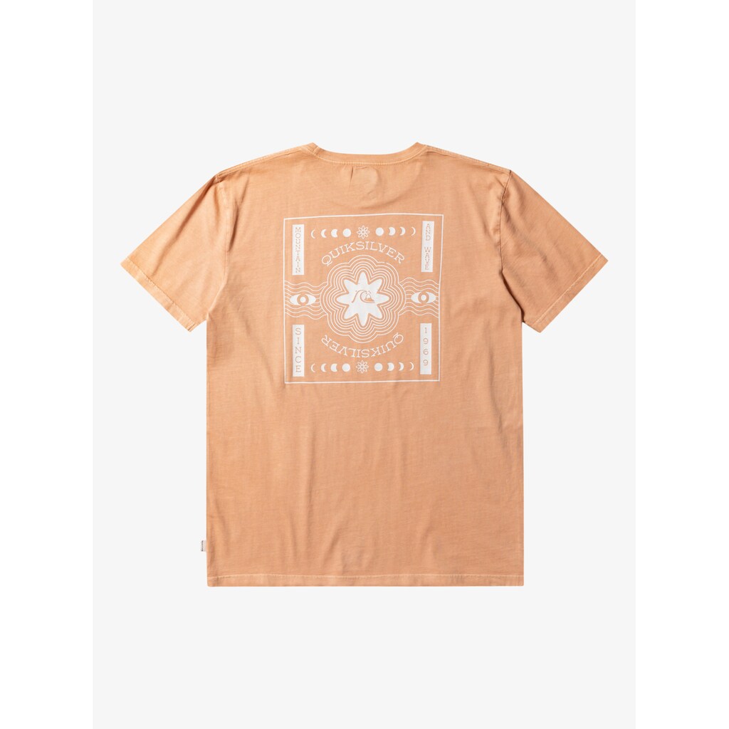 Quiksilver T-Shirt »Qs Psyched«