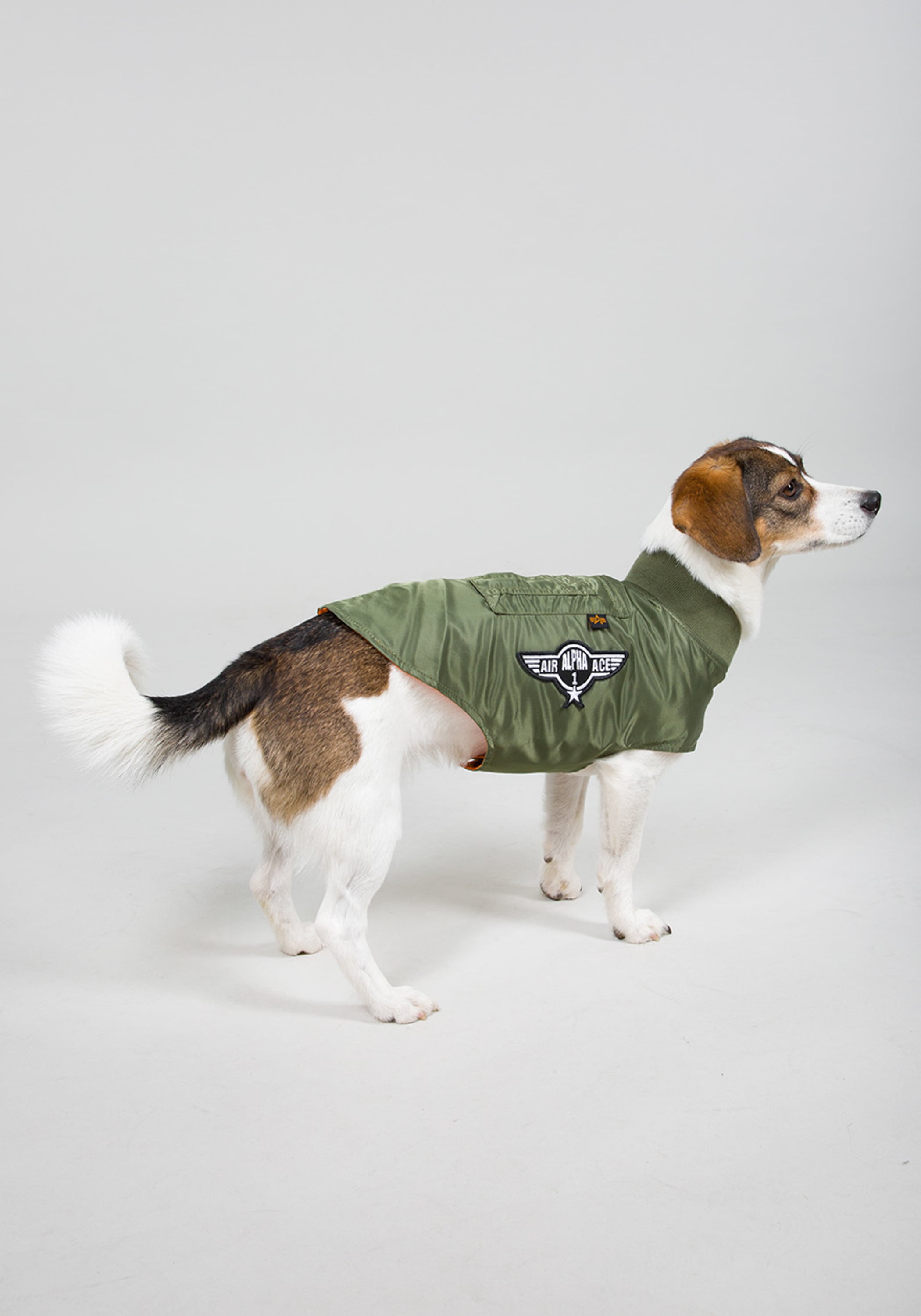 Alpha Industries Hundejacke »Alpha Industries Accessoires - Dog Accessories«