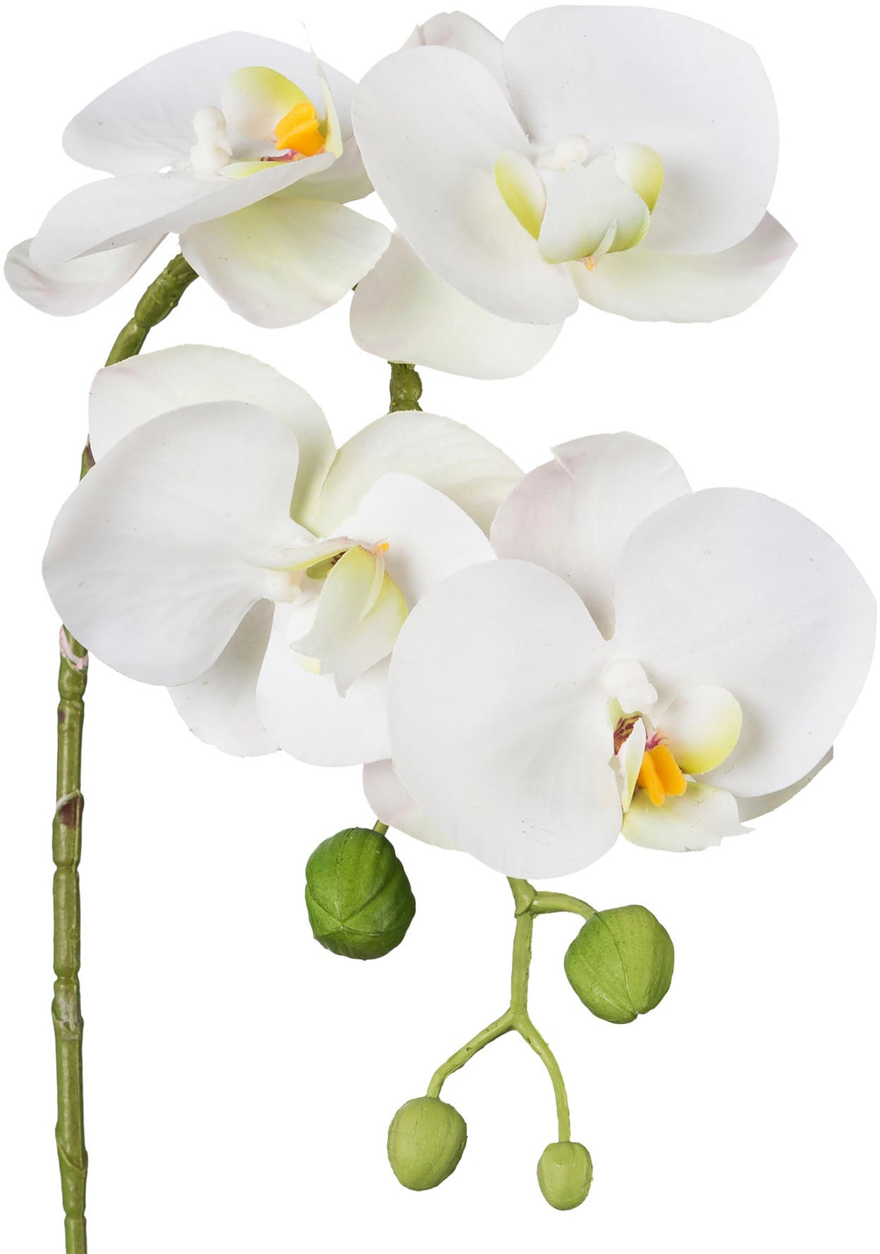 Creativ green Kunstblume »Phalaenopsis 3D-print«, mit Real-Touch-Blüten
