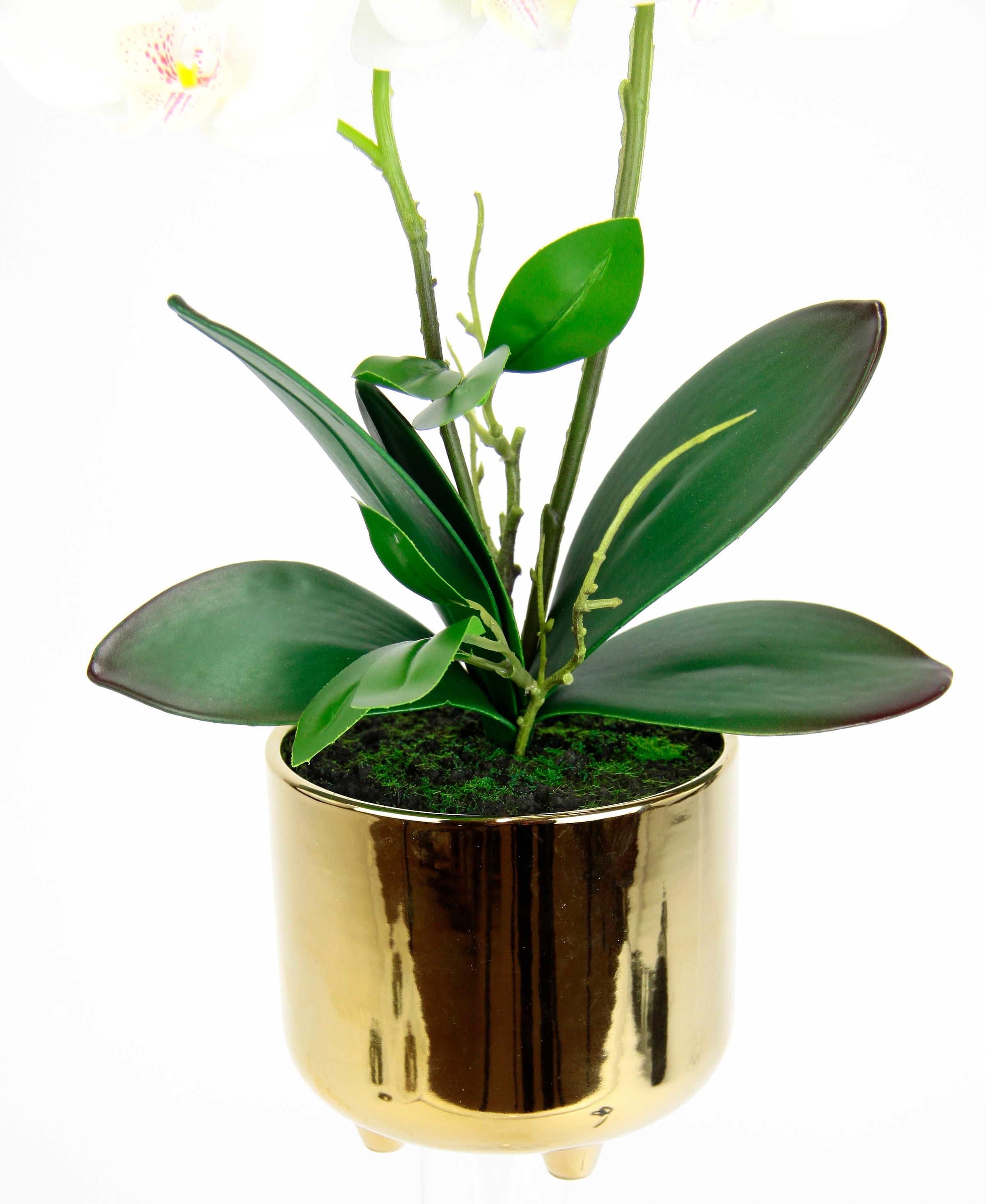 I.GE.A. Kunstblume »Orchidee«