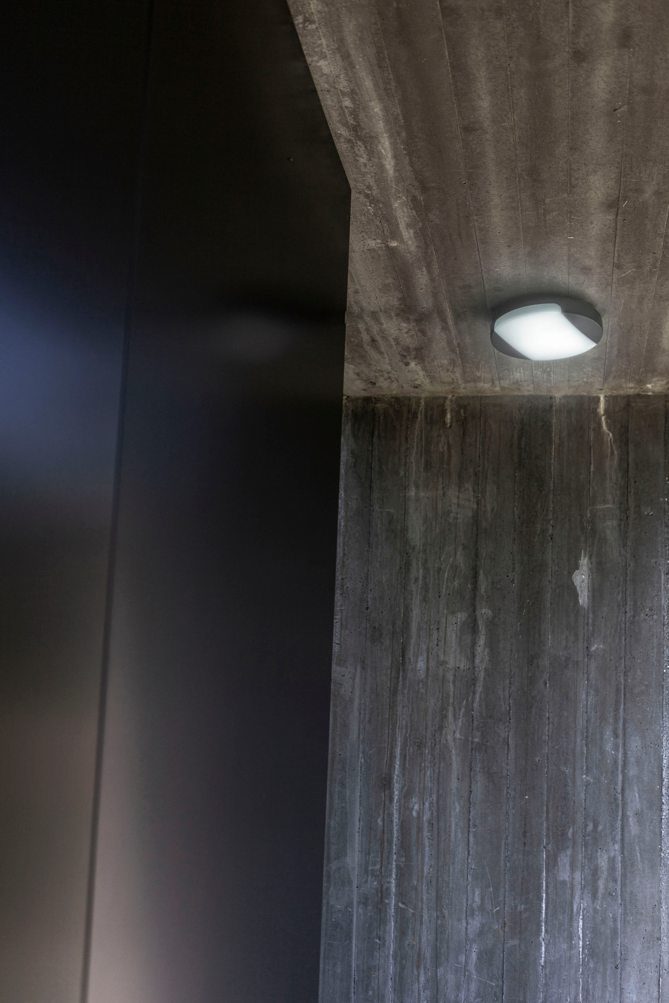 LUTEC LED Außen-Deckenleuchte mit XXL Garantie einstellbar Kelvinschalter,Lichtfarbe »SWEEP«, 3 Jahren kaufen | online
