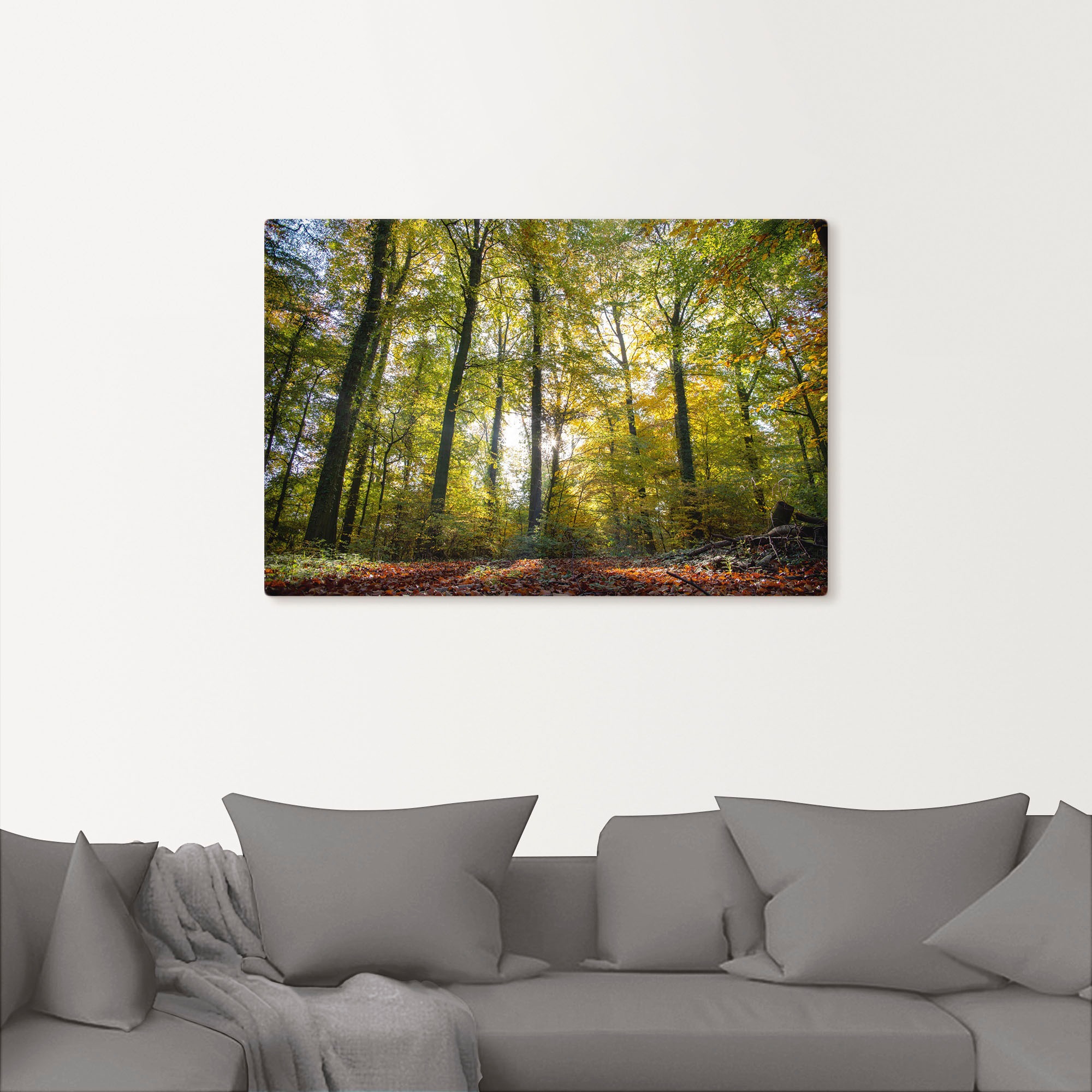 Wandbild kaufen Herbst«, Alubild, (1 Größen Waldbilder, Wandaufkleber Poster oder Leinwandbild, in versch. zum bequem St.), Artland als »Laubwald