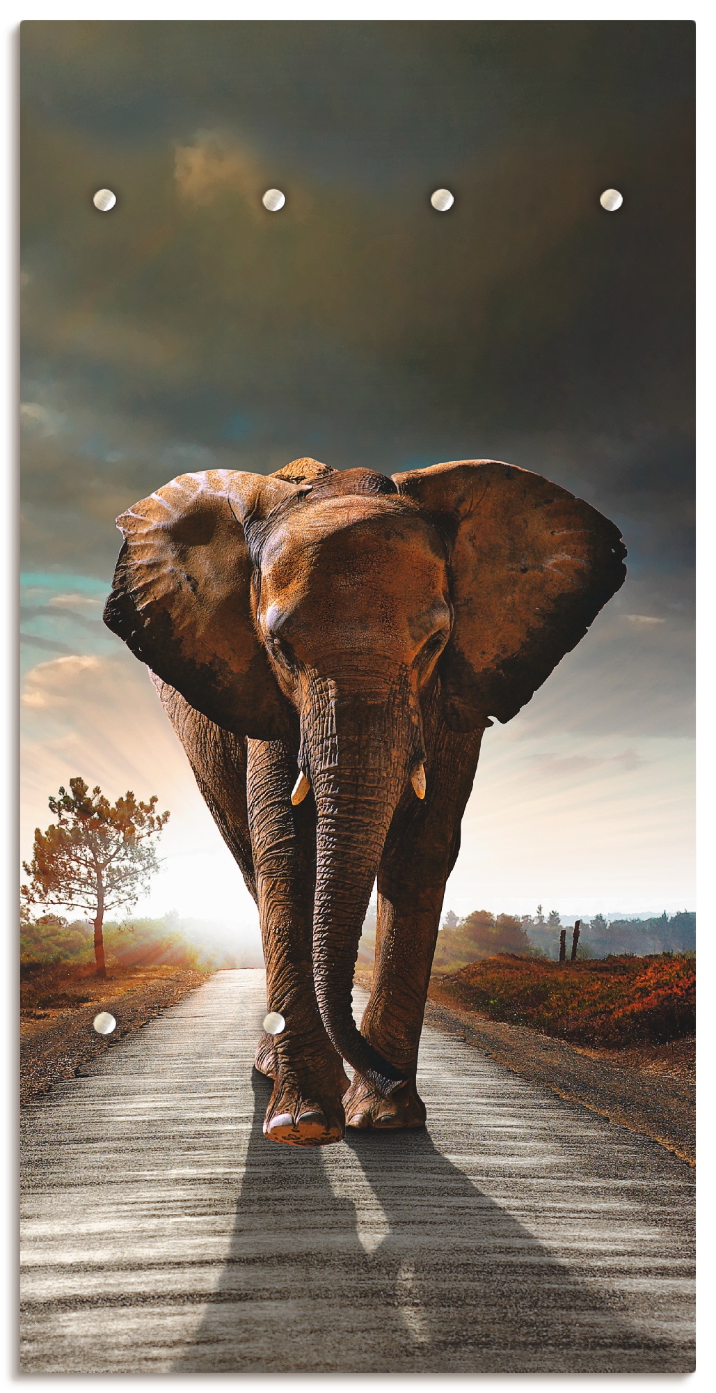 Artland Garderobenleiste »Ein Elefant läuft auf der Straße«, teilmontiert
