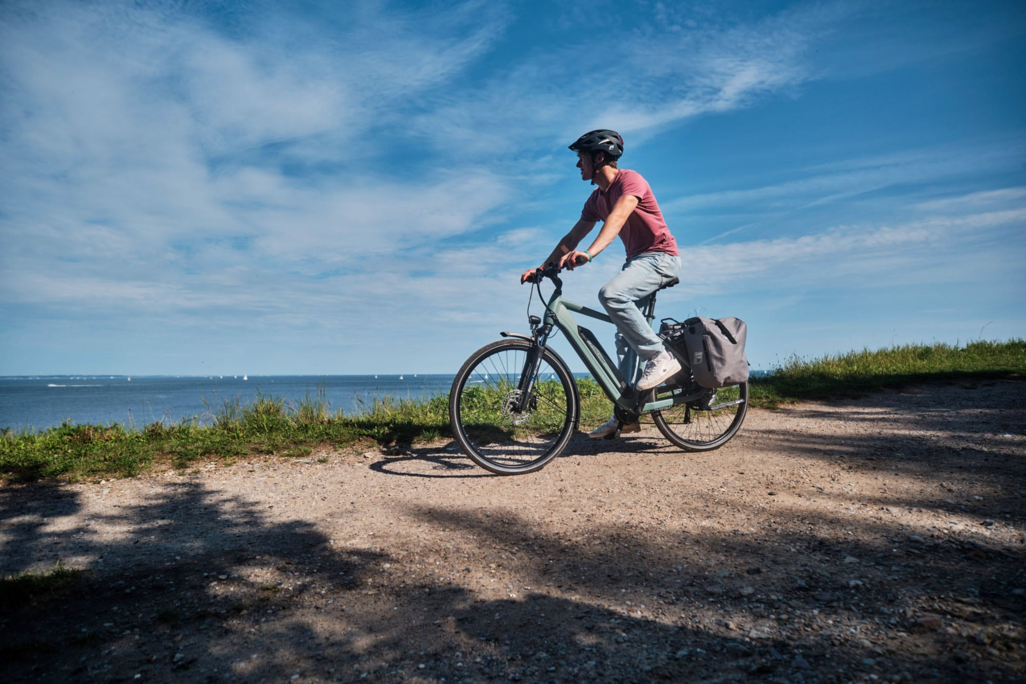 FISCHER Fahrrad »VIATOR 2.1 459 55 ACTIVE« 8 Gang Shimano ACERA Schaltwerk Heckmotor mit Akku-Ladegerät | mit Werkzeug,  Pedelec, Elektrofahrrad für Damen und Herren