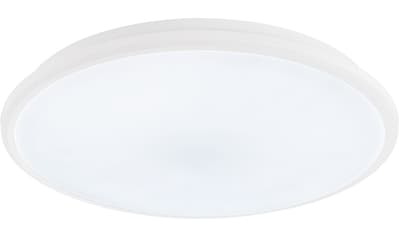 FHL easy! LED Deckenleuchte »Harvey«, LED-Modul, 1 St., Warmweiß kaufen