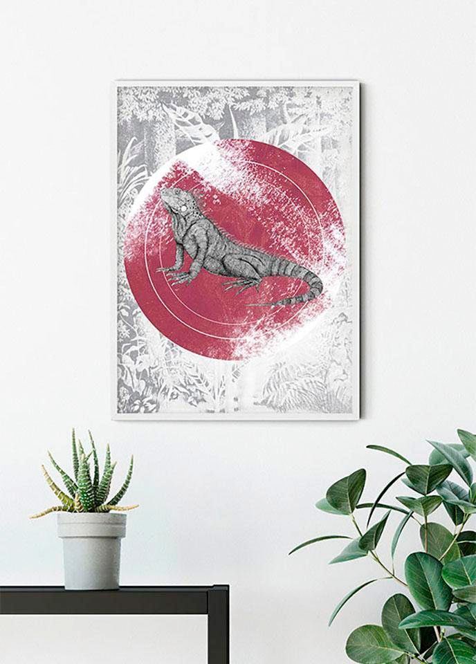 Komar Bild »Iguana Circle« Tiere 1 Stk. tlg. Wandbild zur Dekoration - ohne Rahmen