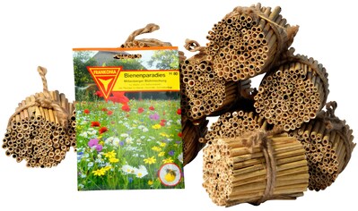 Insektenhotel »Schilfrohrhalme, Nisthöhlen für Wildbienen«, inkl. Blumensamen