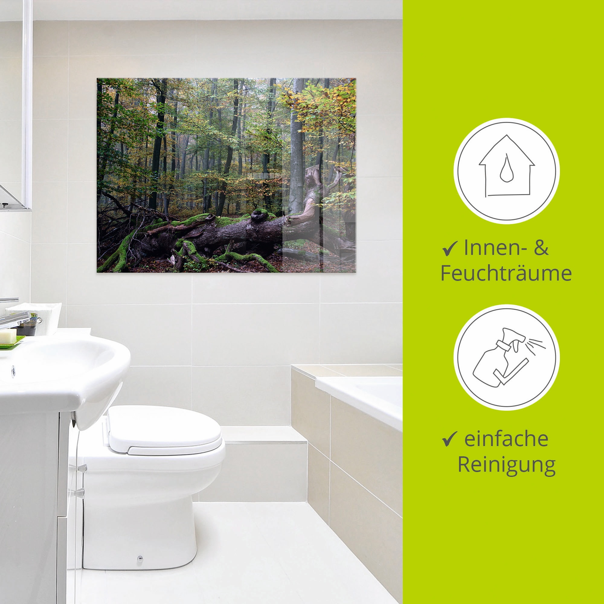 Artland Glasbild »Ein alter Riese, neuer Lebensraum«, Wald, (1 St.), in verschiedenen Größen