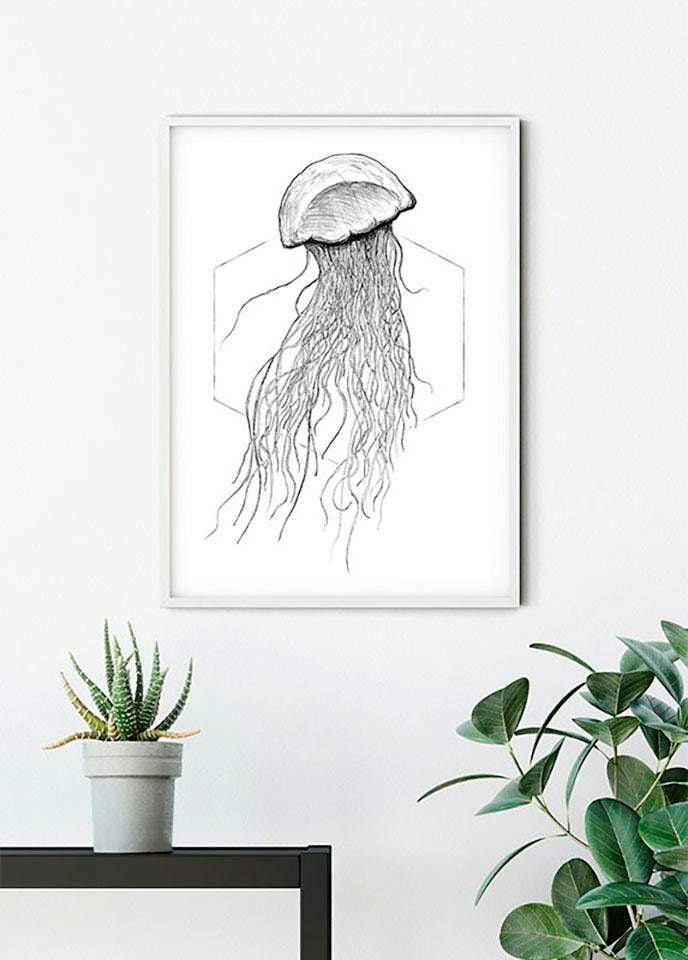 Komar Bild »Jellyfish White« Tiere 1 Stk. tlg. Wandbild zur Dekoration - ohne Rahmen