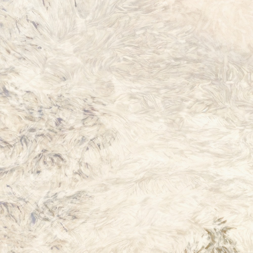 Komar Fototapete »Vlies Fototapete - Herbstwald - Größe 350 x 250 cm« Motiv | bedruckt glatt