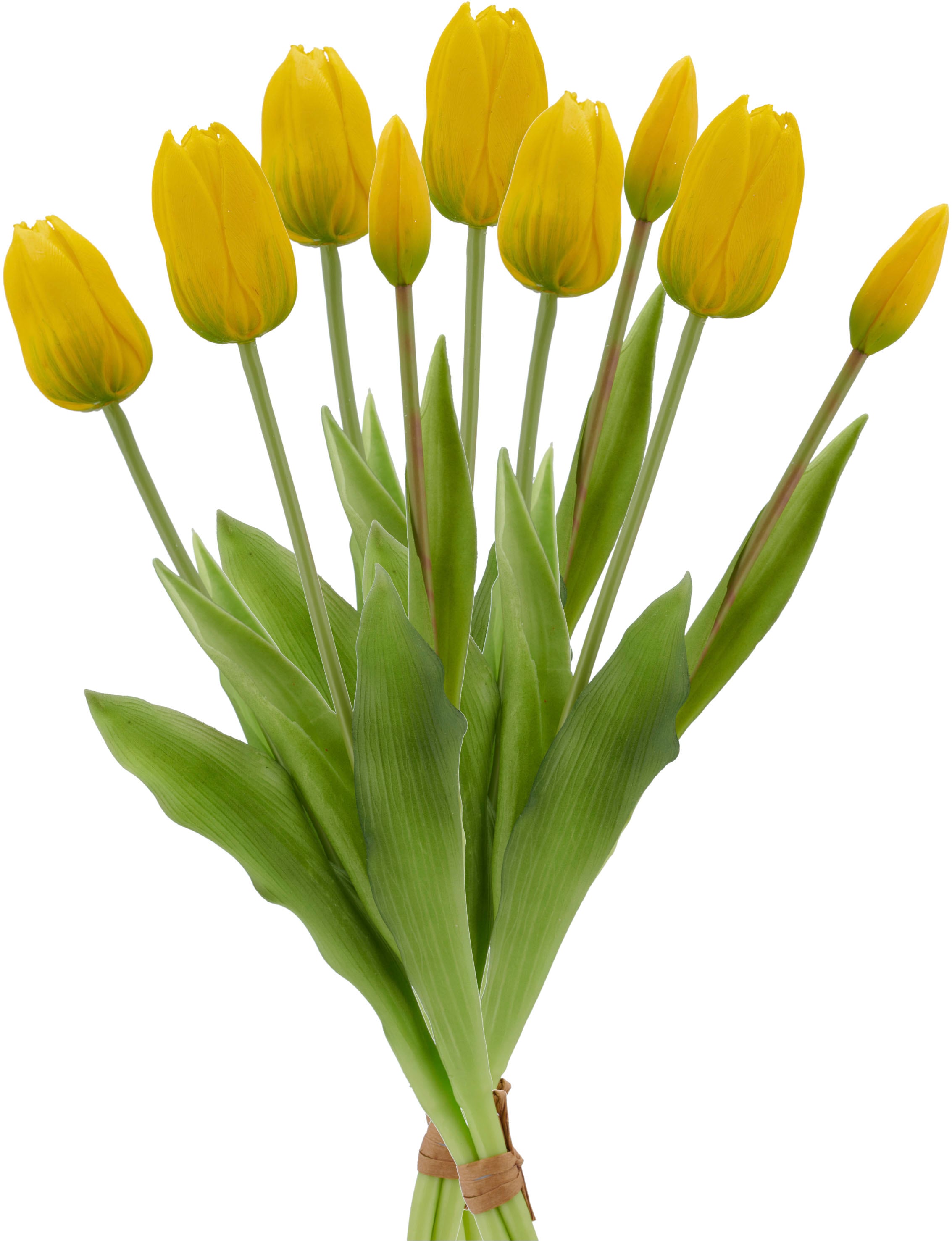 Creativ green Kunsttulpe »Tulpenbund« in schöner Farbe