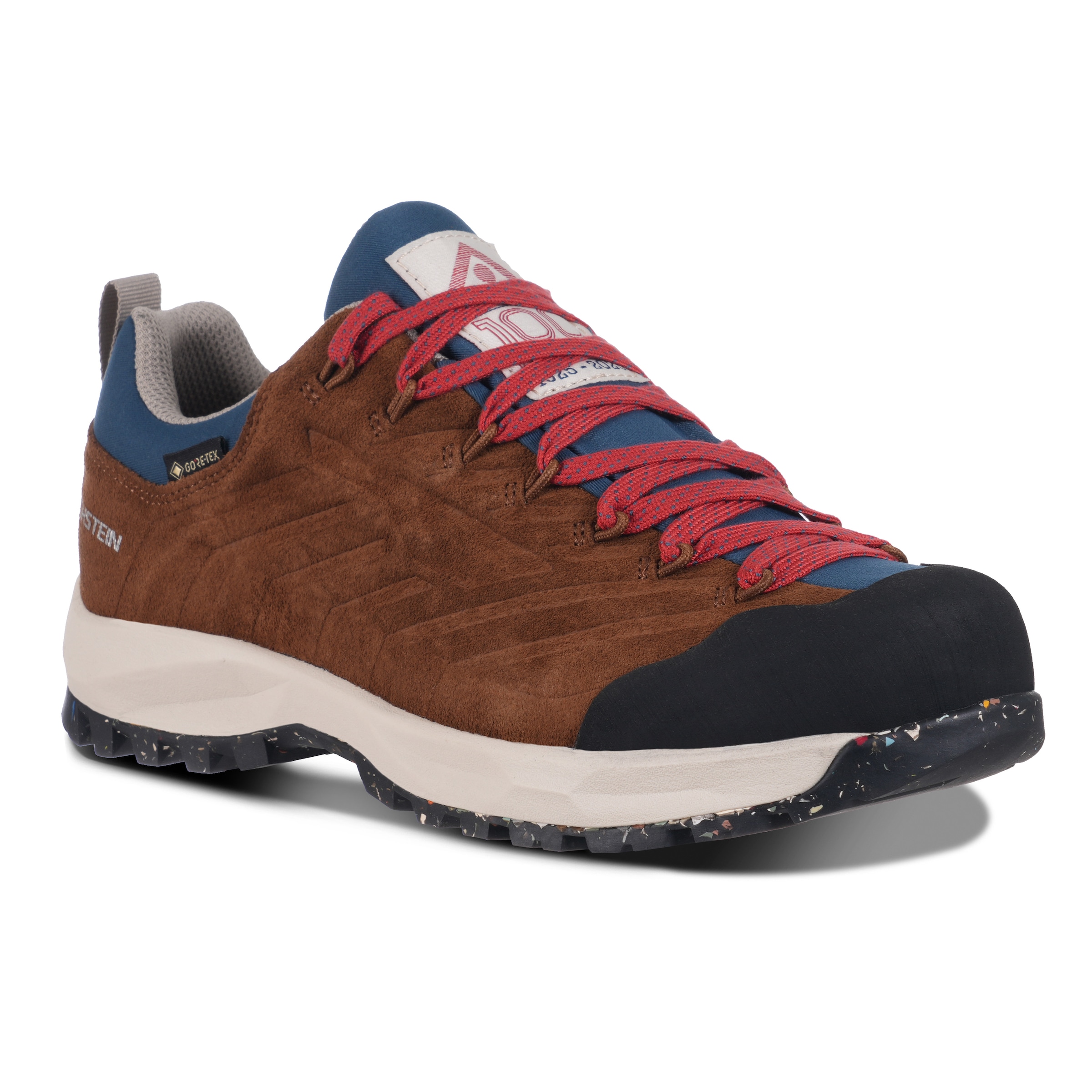 Dachstein Wanderschuh »SF-21 GORE-TEX 1925 WMN«, wasserdicht