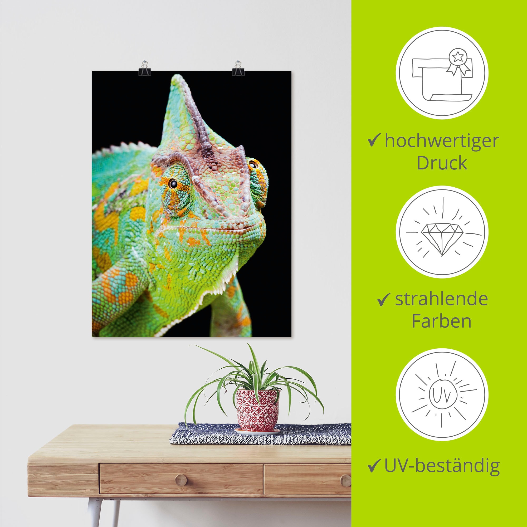 Artland Wandbild »Yemen Chamäleon«, Reptilien, (1 St.), als Alubild, Outdoorbild, Poster, Wandaufkleber in verschied. Größen