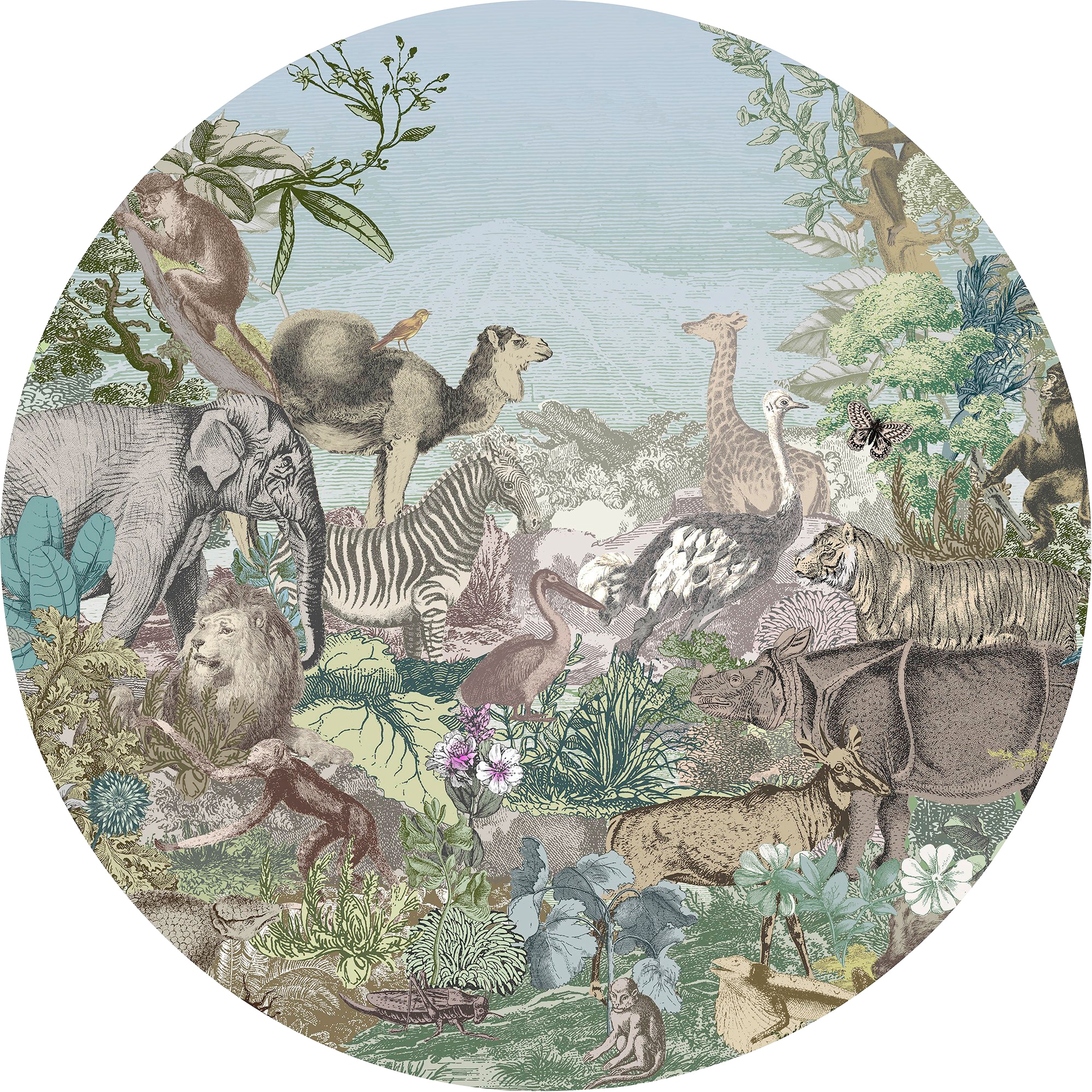Komar Fototapete »Animal Kingdom«, 125x125 cm (Breite x Höhe), rund und  selbstklebend online kaufen | mit 3 Jahren XXL Garantie