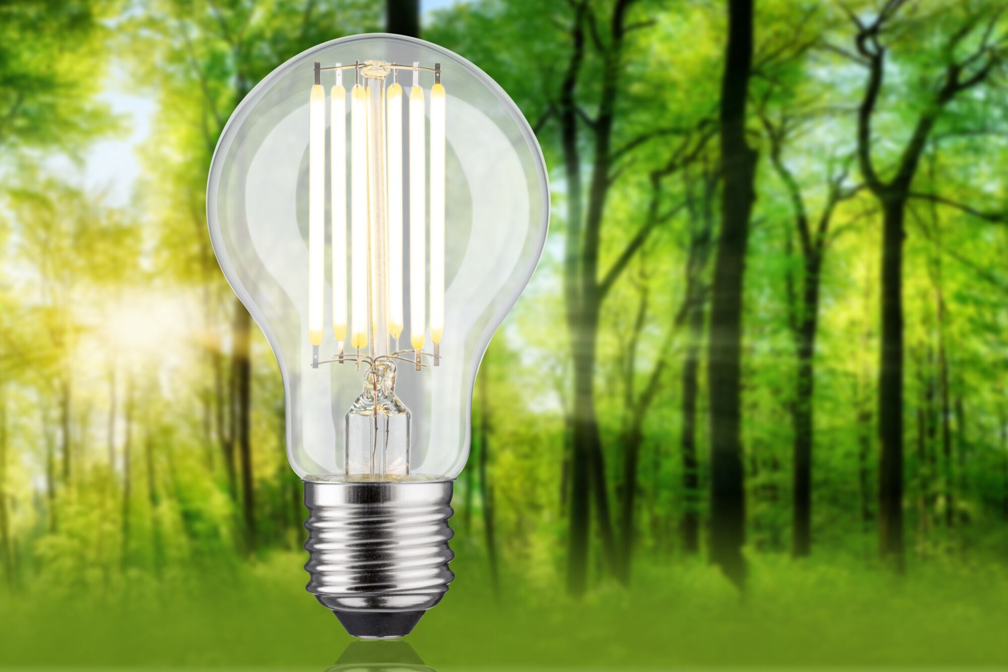 Paulmann LED-Leuchtmittel »Eco-Line Filament 230V LED Birne E27 1er-Set  1521lm 7,2W 3000K  Klar« E27 1 Stk. Warmweiß