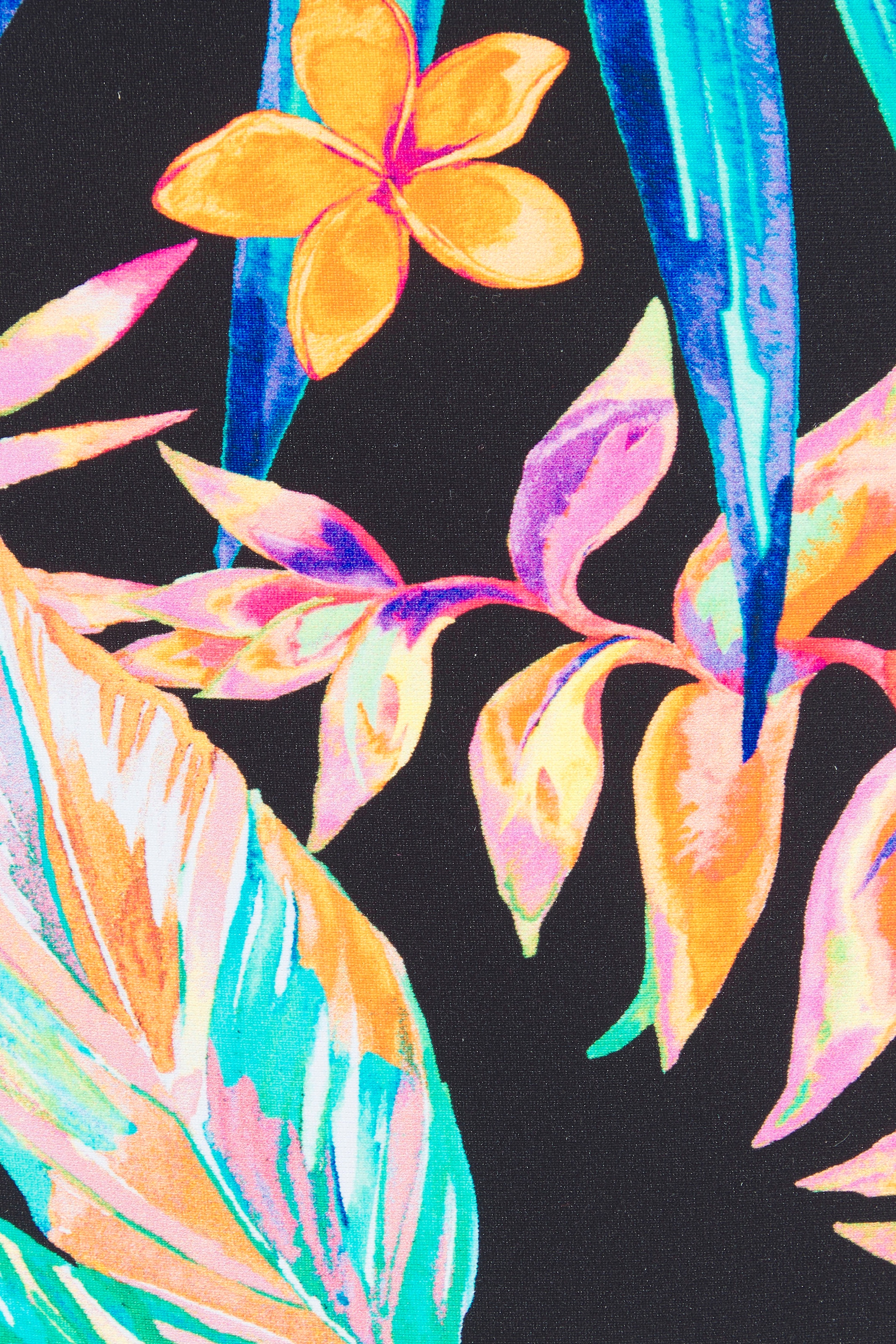 Sunseeker Bikini-Hose »Petit« mit modischem Print