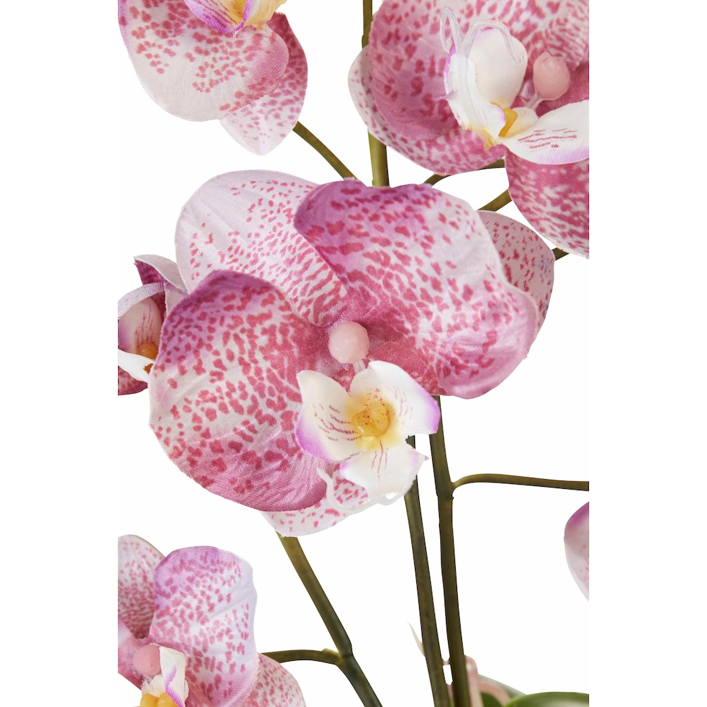 I.GE.A. Kunstpflanze »Orchidee«