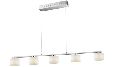TRIO Leuchten LED Pendelleuchte »Alegro«, LED-Board, Warmweiß, LED Hängelampe, LED... kaufen