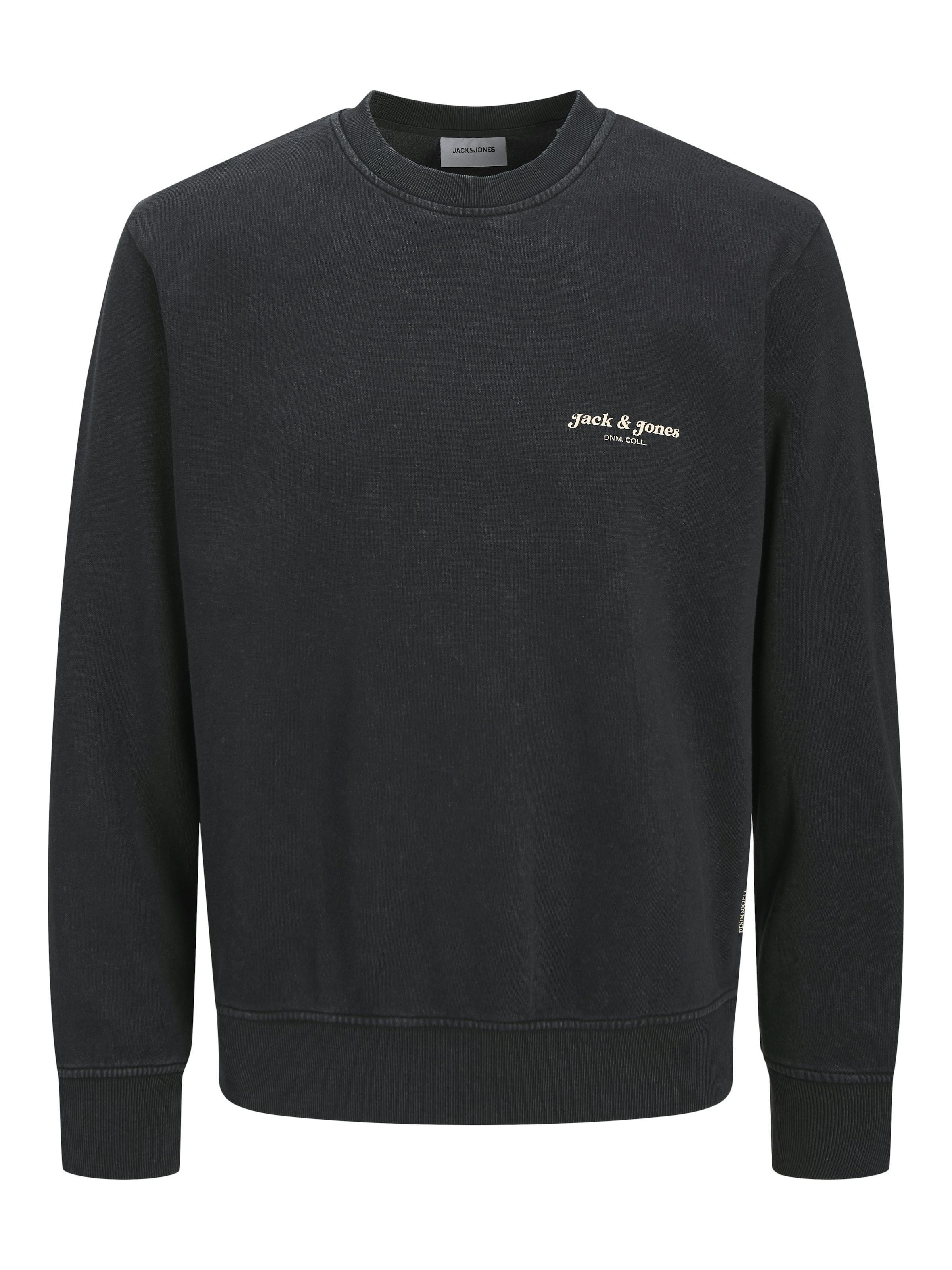Jack & Jones Sweatshirt »JJEDOVER PRINT SWEAT CREW NECK«