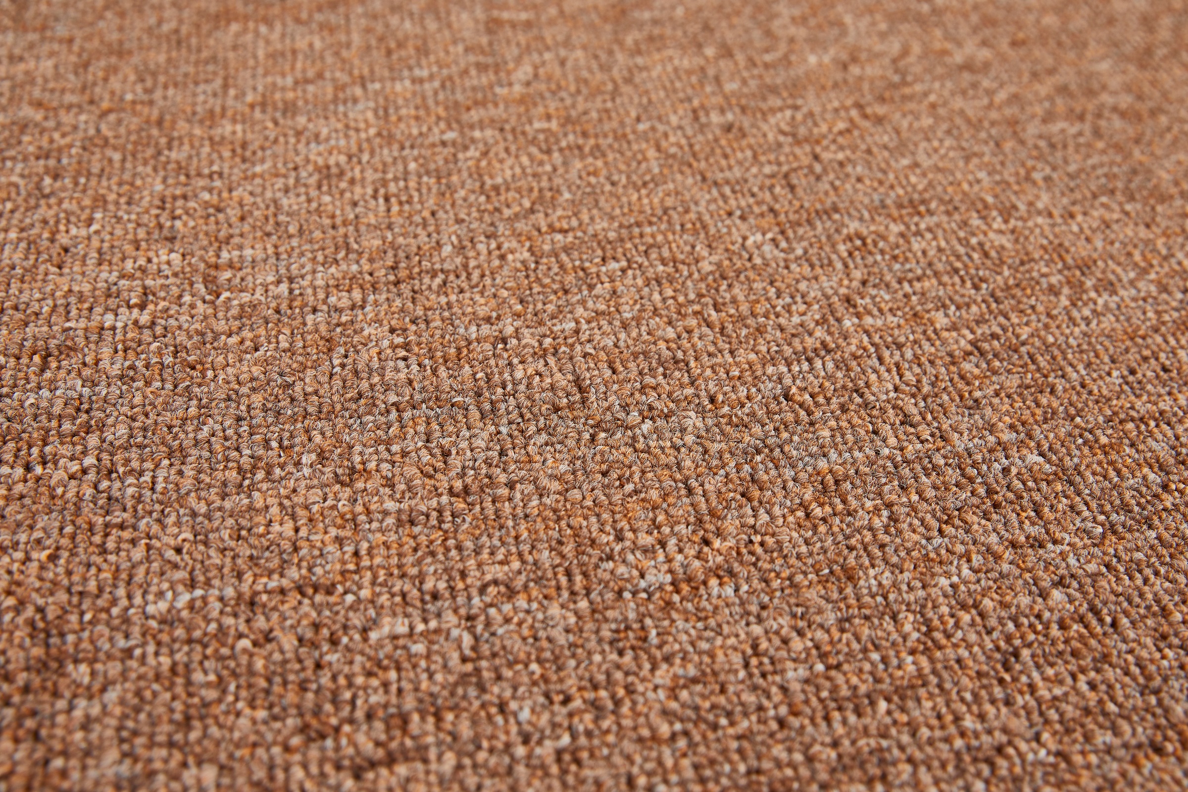 my home Teppichboden »Benno, Schlinge, Made in Netherlands«, rechteckig, 4,5 mm Höhe, Breite 200, 400 und 500 cm, robust, pflegeleicht, langlebig