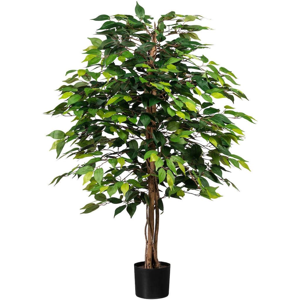 Creativ green Kunstpflanze »Ficus Benjamini«, (1 St.)