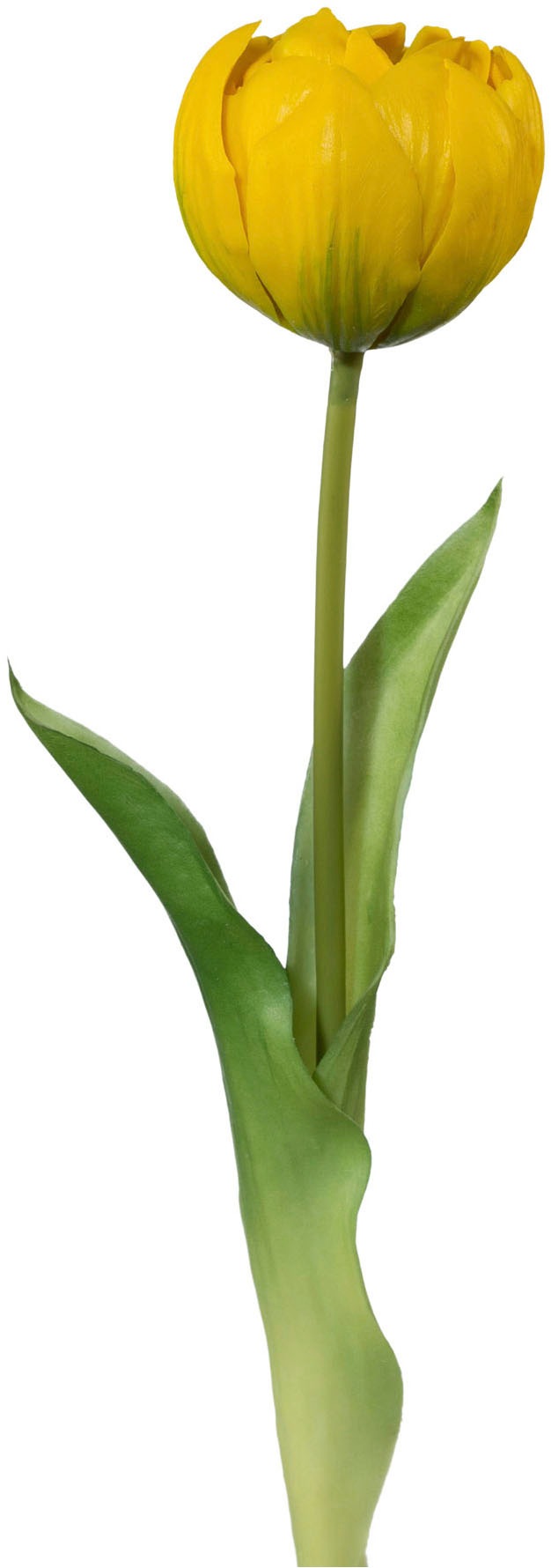 Creativ green Kunstblume »Tulpe« mit real-touch-Blüten