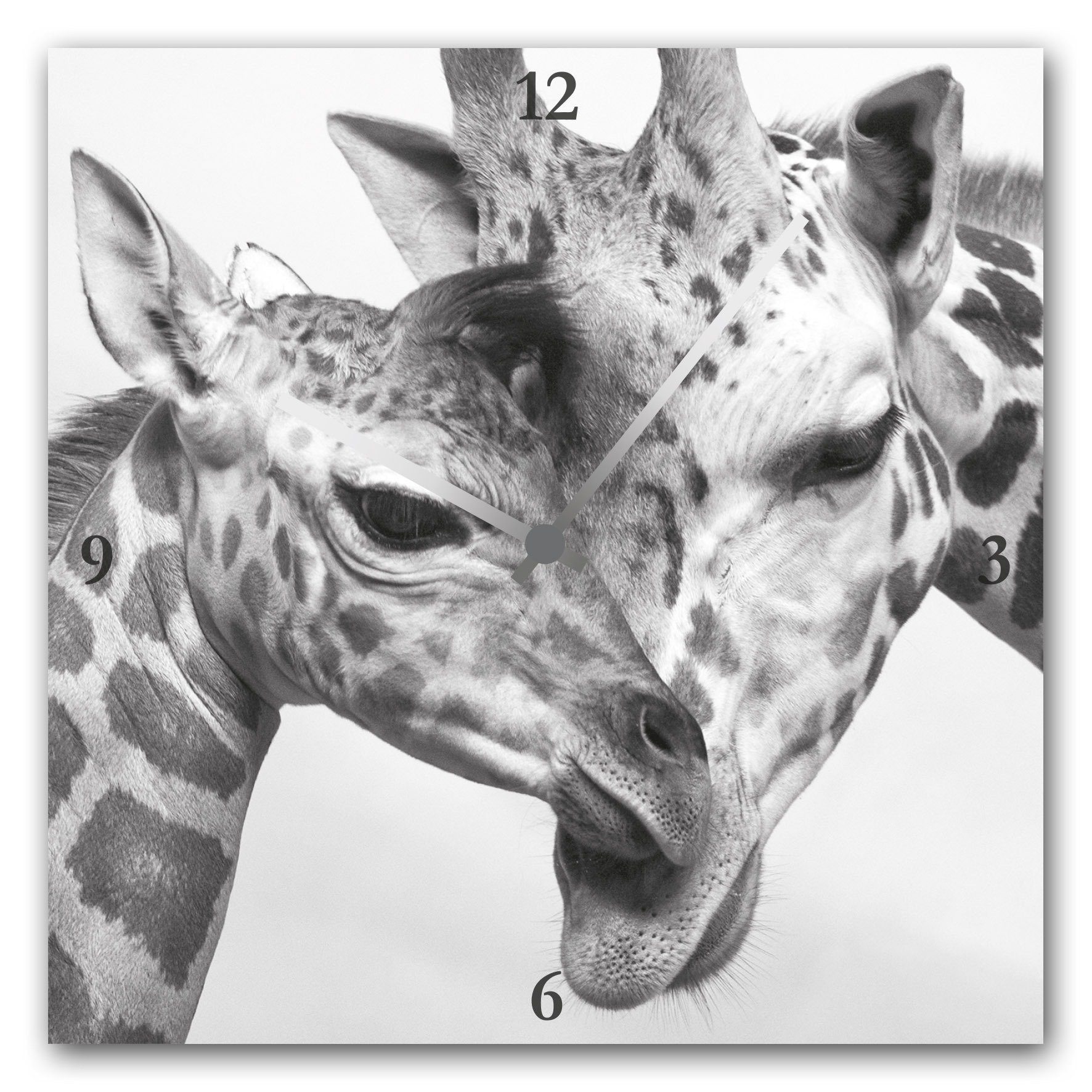Wanduhr »Giraffen«, eckig, Acrylglas