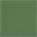 green Z69