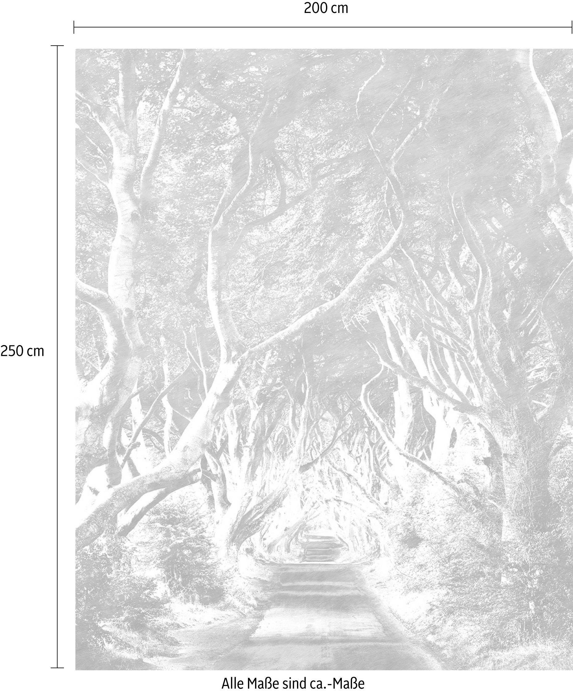Komar Vliestapete »Digitaldruck Vlies - Alley Graphite - Größe 200 x 250 cm«, bedruckt, Wohnzimmer, Schlafzimmer
