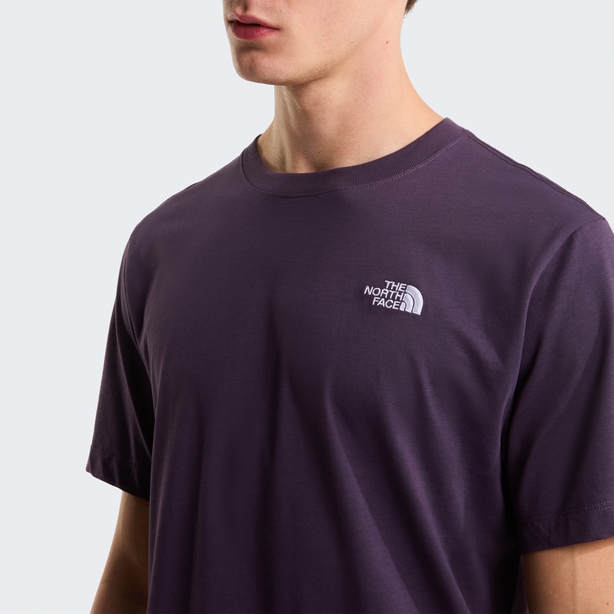 The North Face T-Shirt »M EVOLUTION SIMPLE DOME REGULAR SHORT SL« normale Passform, Kurzarm, für den Alltag, aus Poly-Baumwolle