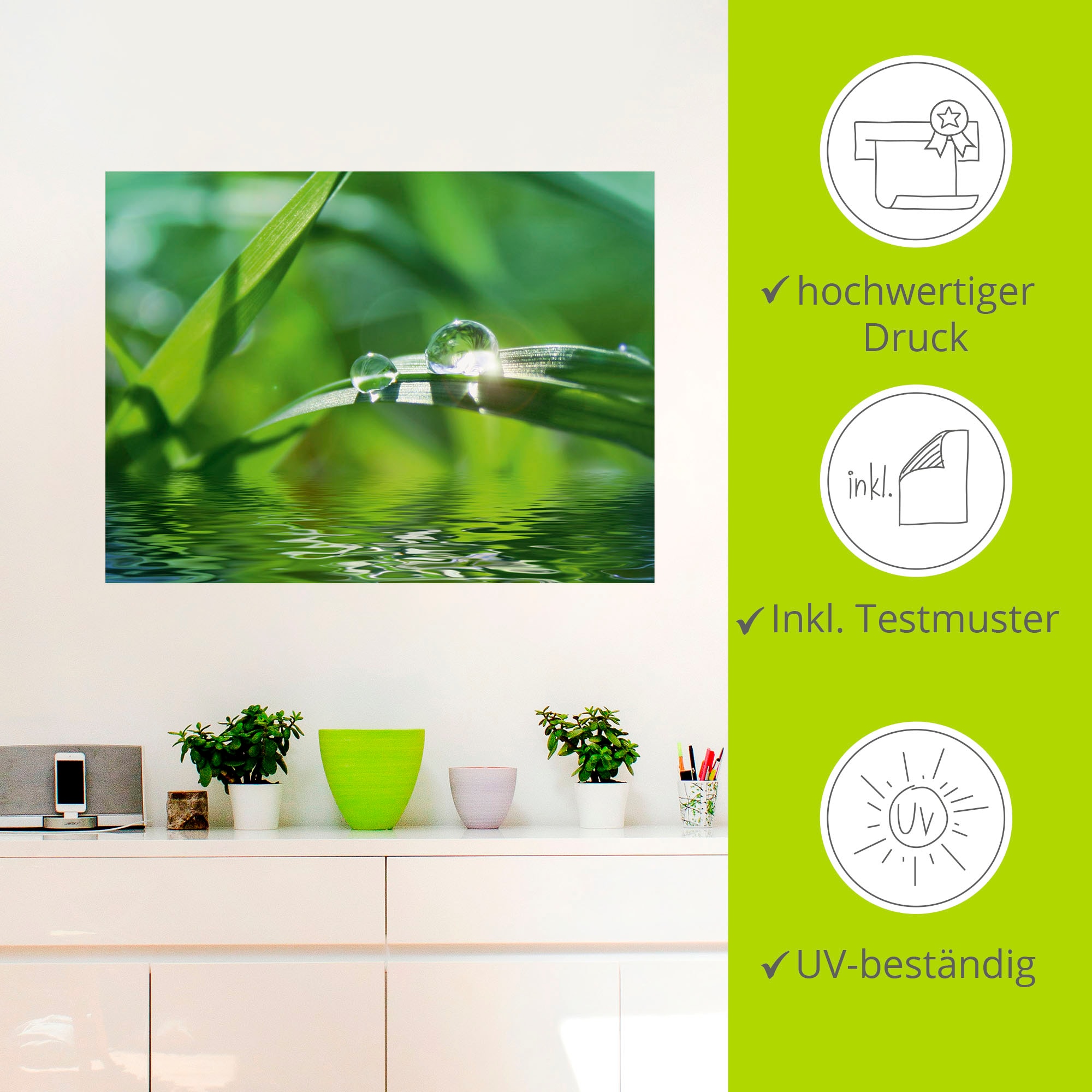 Artland Wandbild »Grüner Hintergrund mit Gras«, Gräser, (1 St.), als Leinwandbild, Poster, Wandaufkleber in verschied. Größen