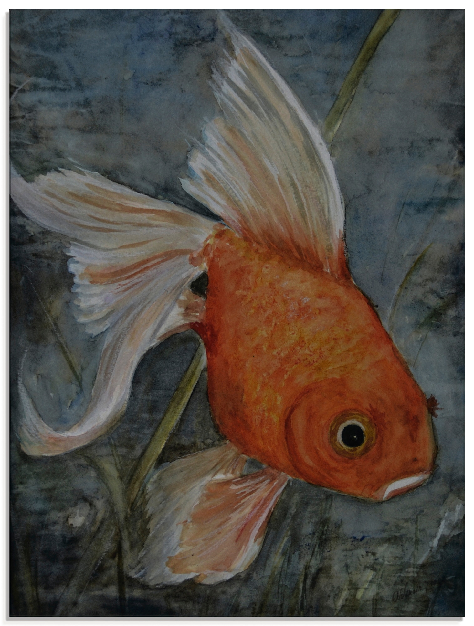 Glasbild »Feng Shui - Goldfisch«, Wassertiere, (1 St.), in verschiedenen Größen