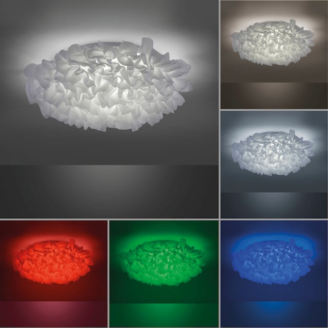 Leuchten Direkt LED Deckenleuchte »Ls-NAOMI«, 1 flammig-flammig, Mit LED- Beleuchtung online kaufen | mit 3 Jahren XXL Garantie