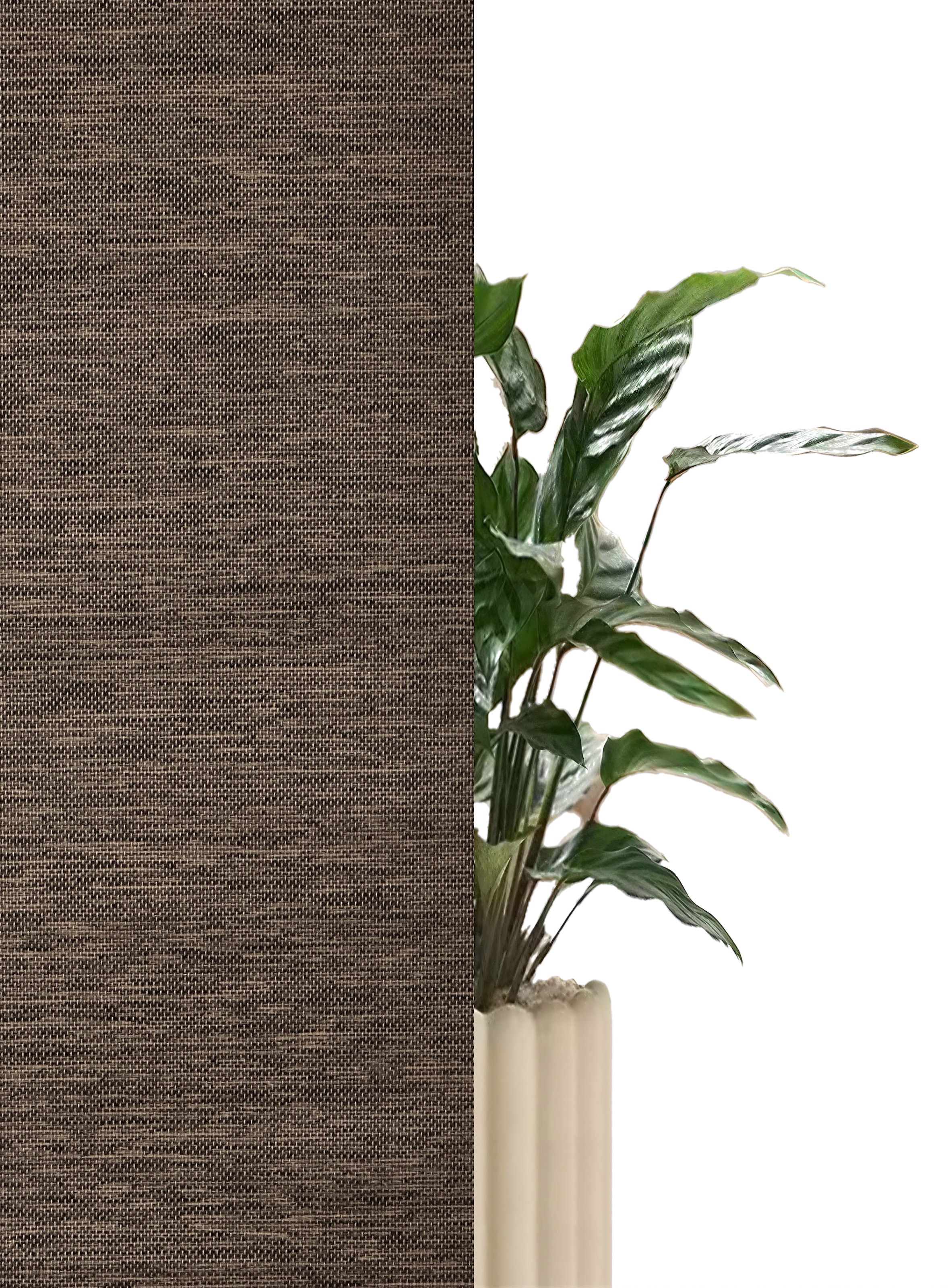 OTTO home Rollo »RILLEY« Lichtschutz Sichtschutz | Verdunkelung ohne Bohren freihängend Seitenzugrollo, Rollo in eleganter Gewebestruktur - NEUHEIT!