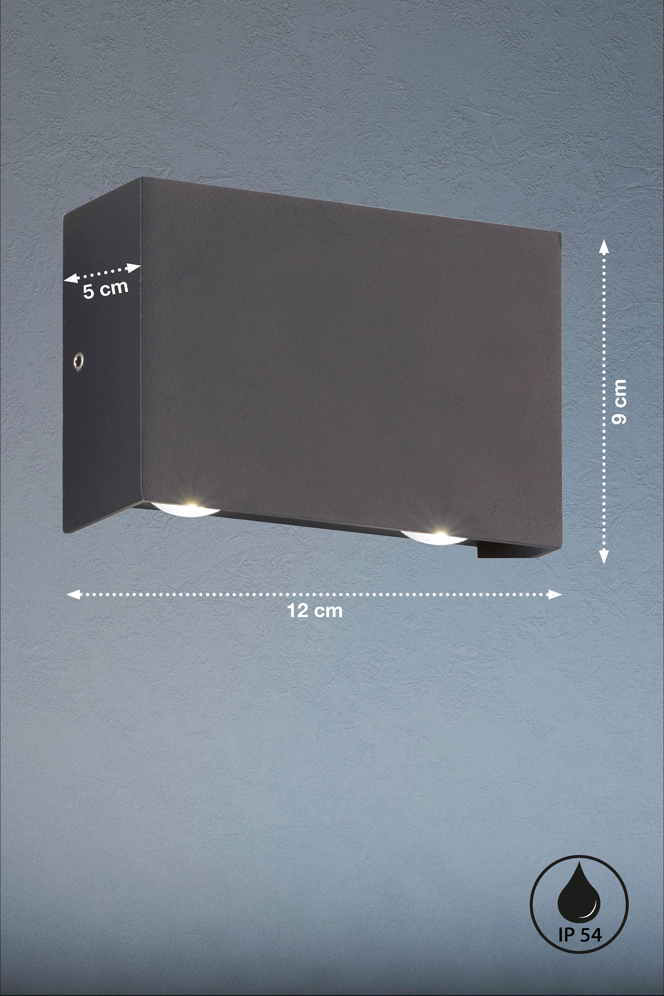 FISCHER & HONSEL LED Außen-Wandleuchte »Nairobi«, 4 flammig, Leuchtmittel LED-Modul | LED fest integriert