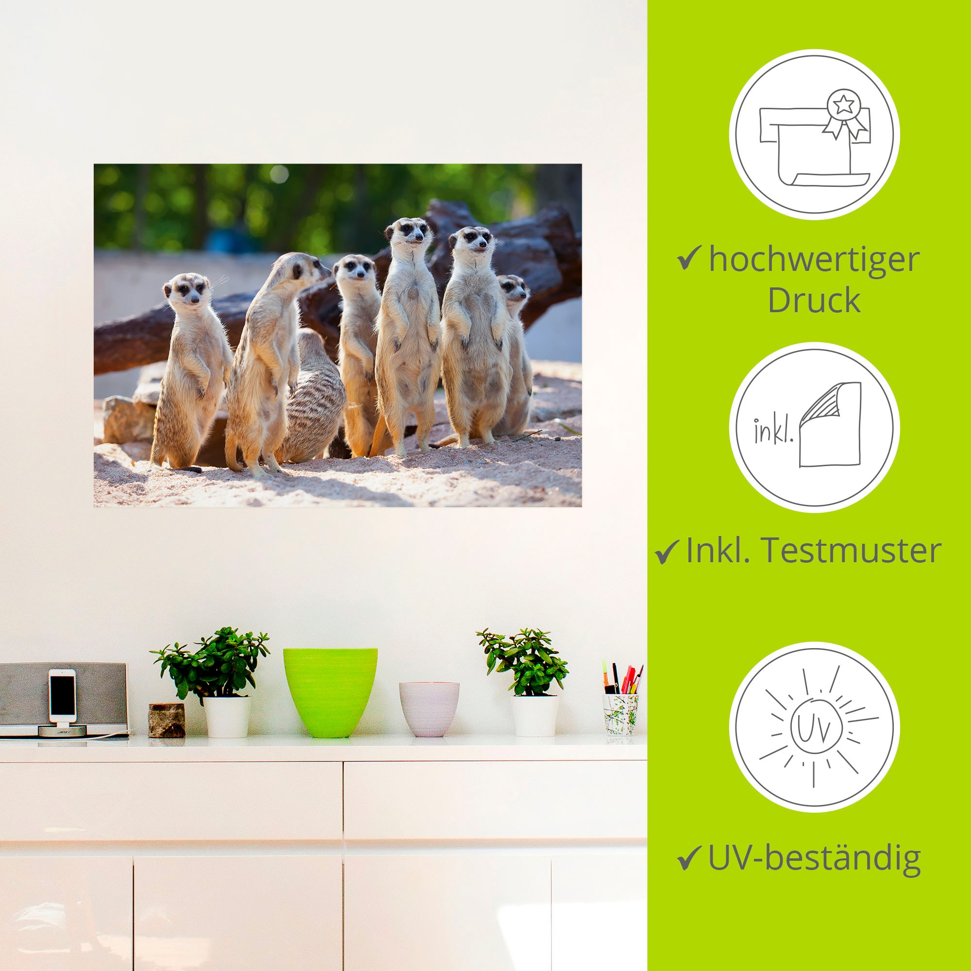 Artland Wandbild »Erdmännchenfamilie«, Wildtiere, (1 St.), als Poster, Wandaufkleber in verschied. Größen