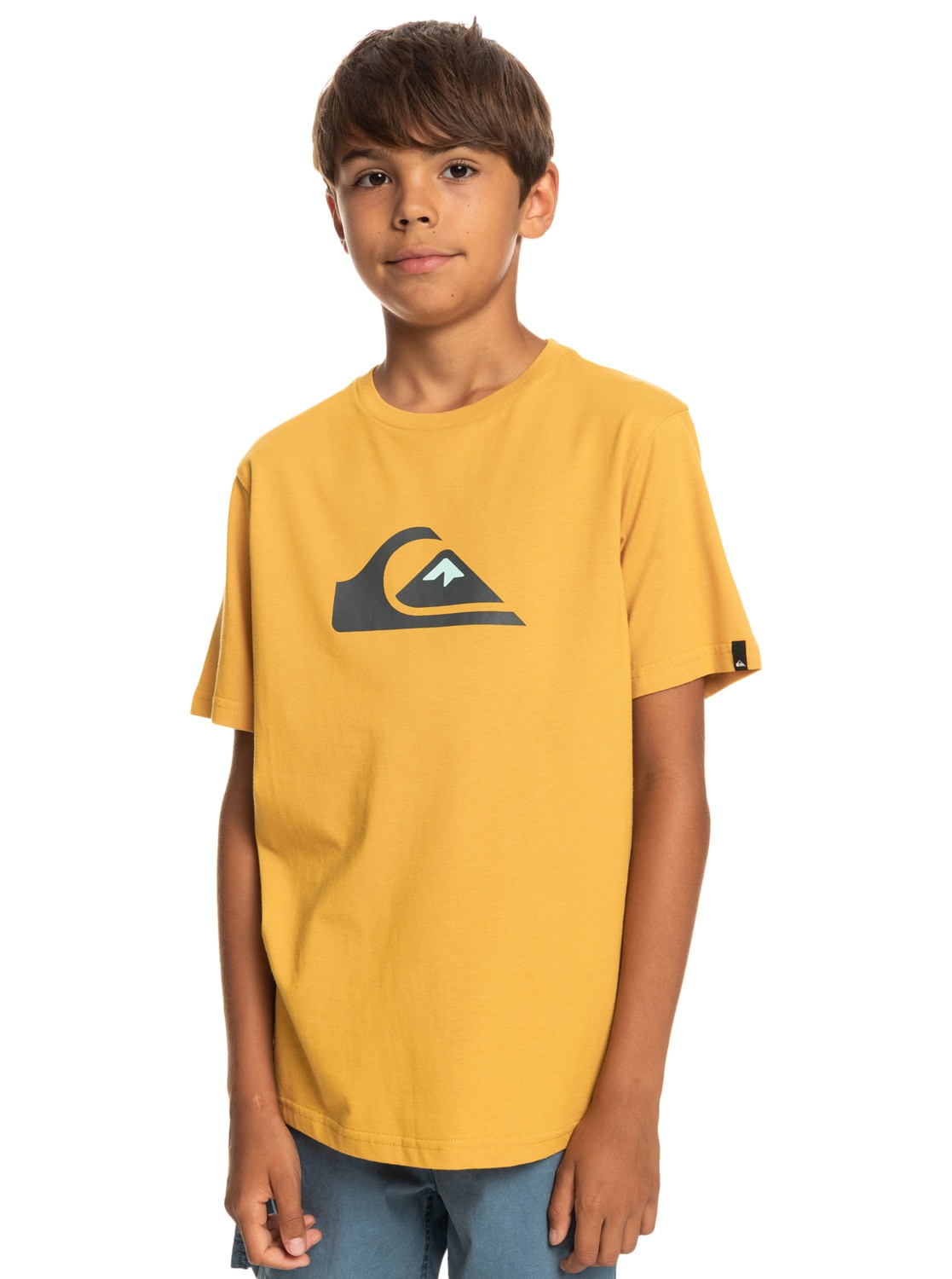 Quiksilver T-Shirt »Comp Logo« kaufen