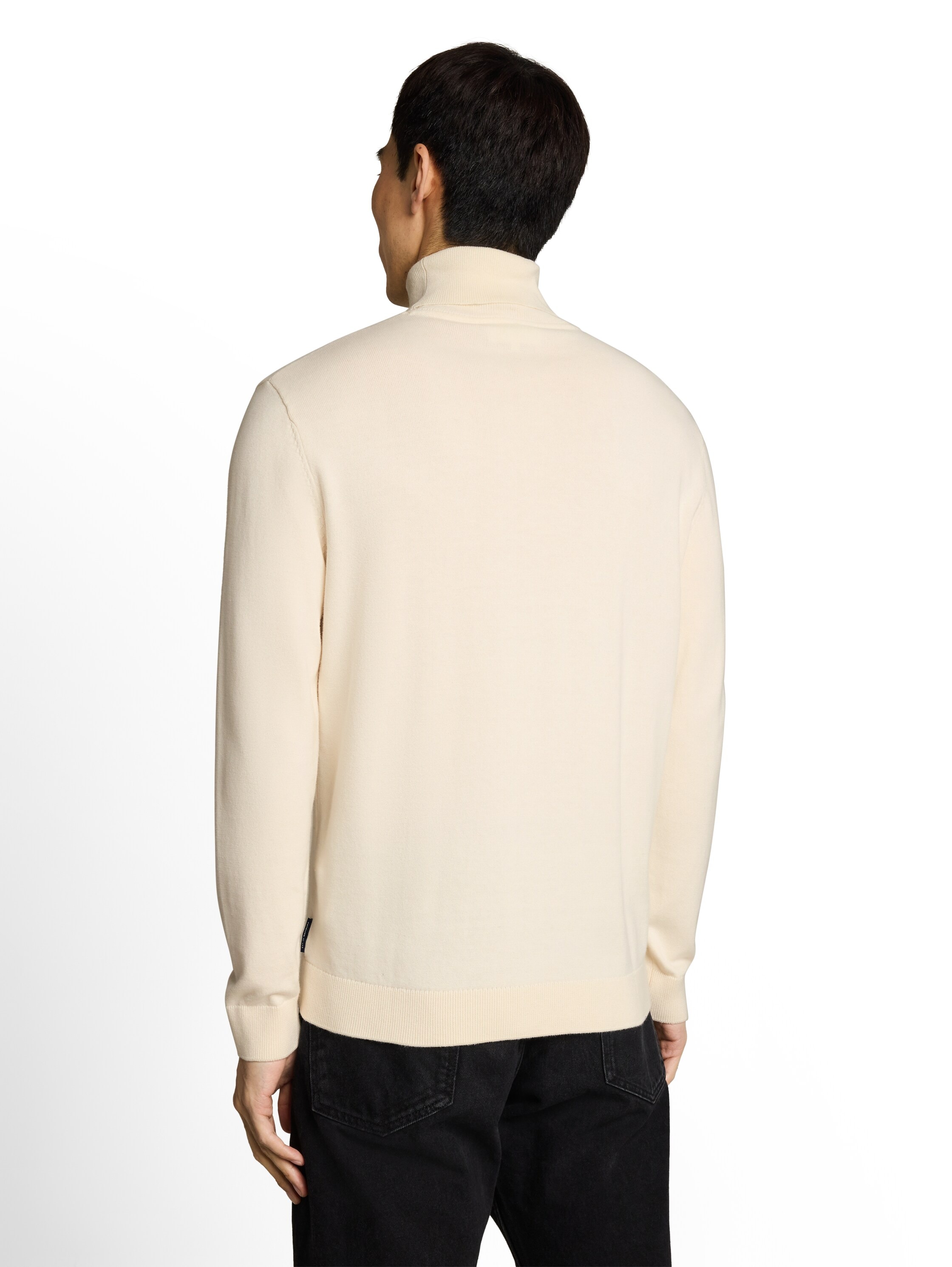 TOM TAILOR Rollkragenpullover im Strick-Design