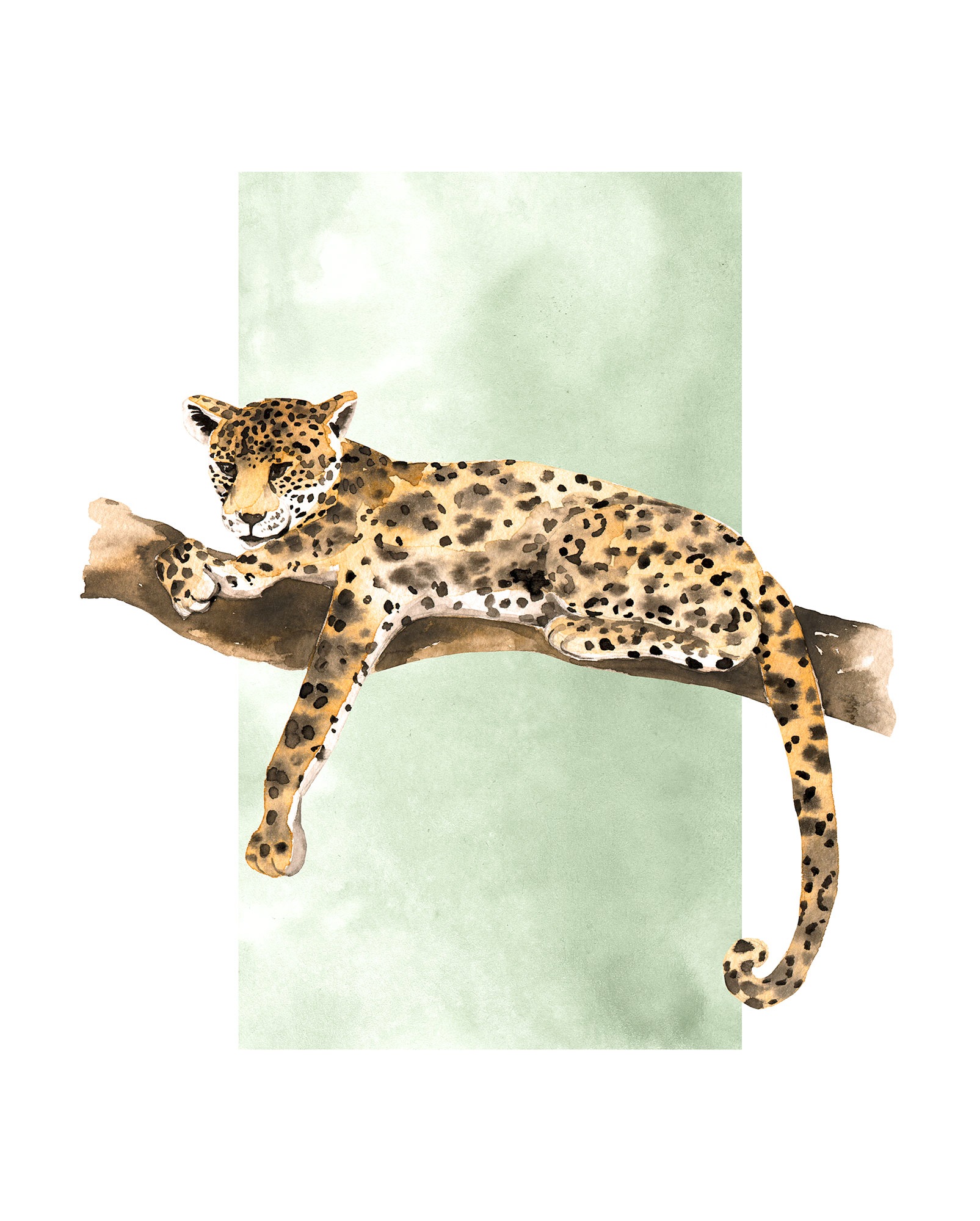 Komar Poster »Lazy Leopard«, Jahren kaufen Wohnzimmer mit Kinderzimmer, | online XXL 3 St.), (1 Schlafzimmer, Garantie