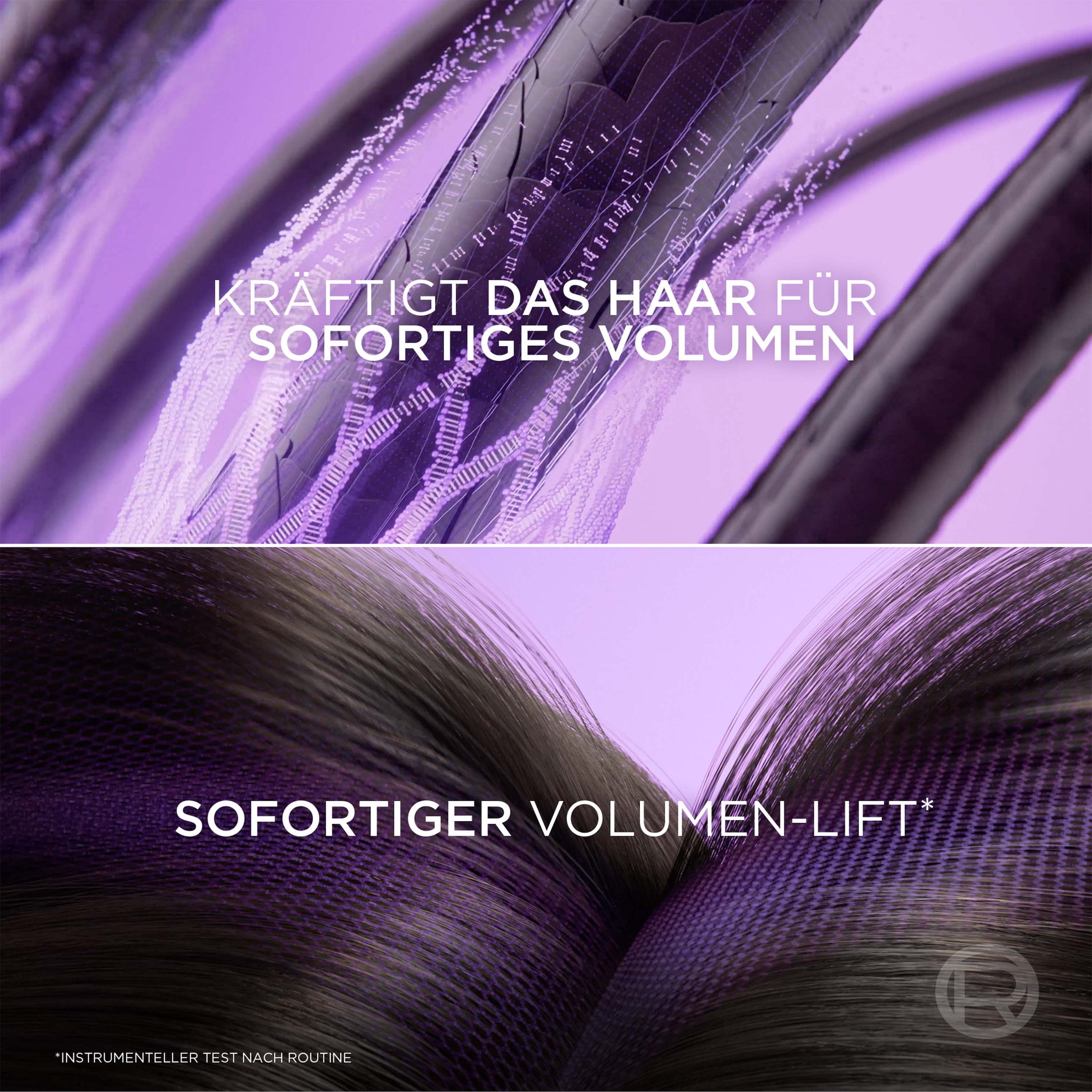 L'ORÉAL PARIS Haarshampoo »L'Oréal Paris Elvital Collagen Lifter Shampoo 6er Packung«