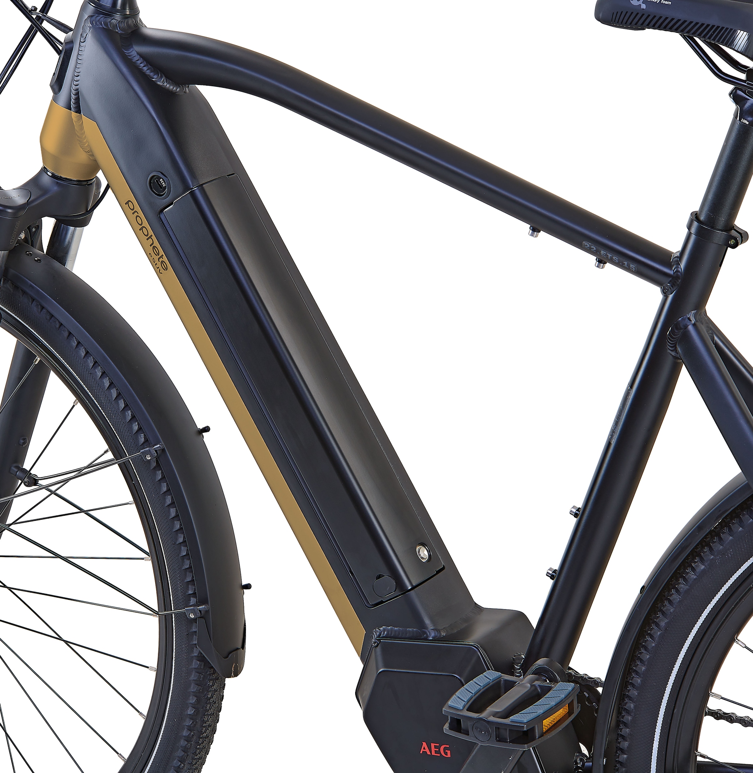 Prophete E-Bike »Entdecker InsideTwo«, 10 Gang, Shimano, Deore, Mittelmotor 250 W, Pedelec, Elektrofahrrad für Damen u. Herren